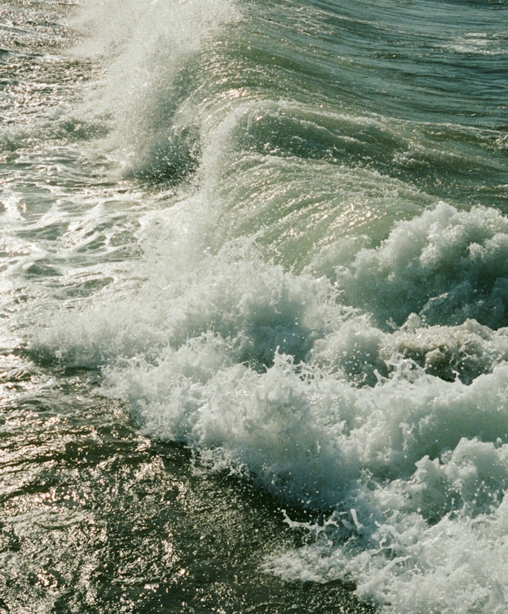 Beach Placeholder.png