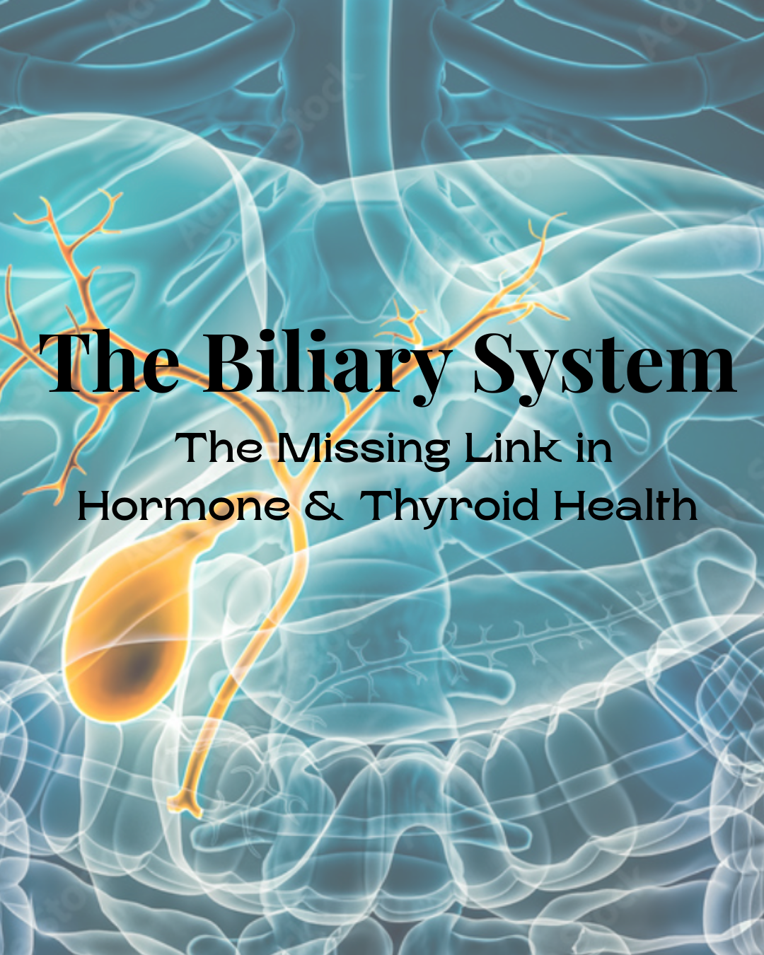 The Biliary System: The Missing Link in Hormone &amp; Thyroid Health