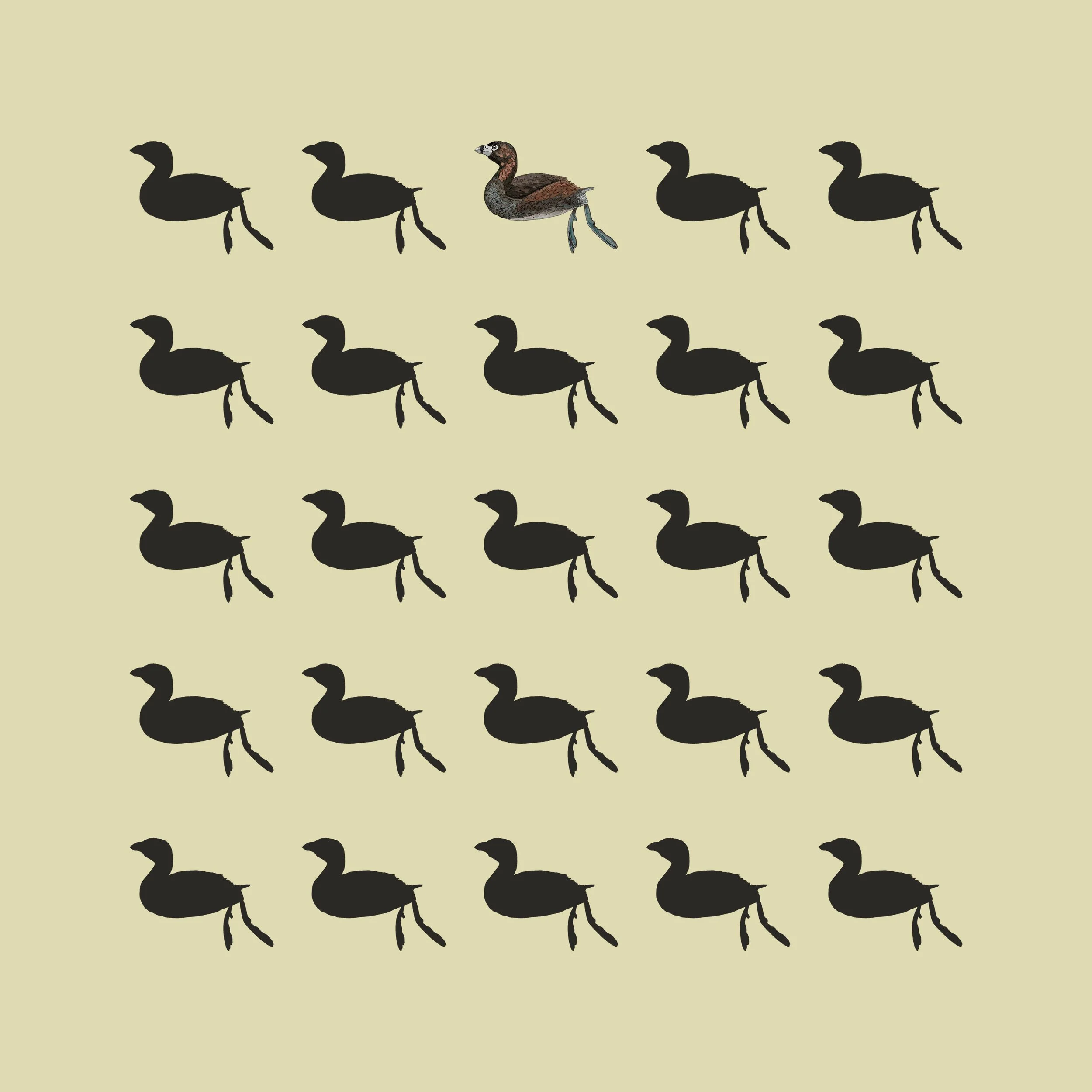 The Last Scream: Poq (Single)