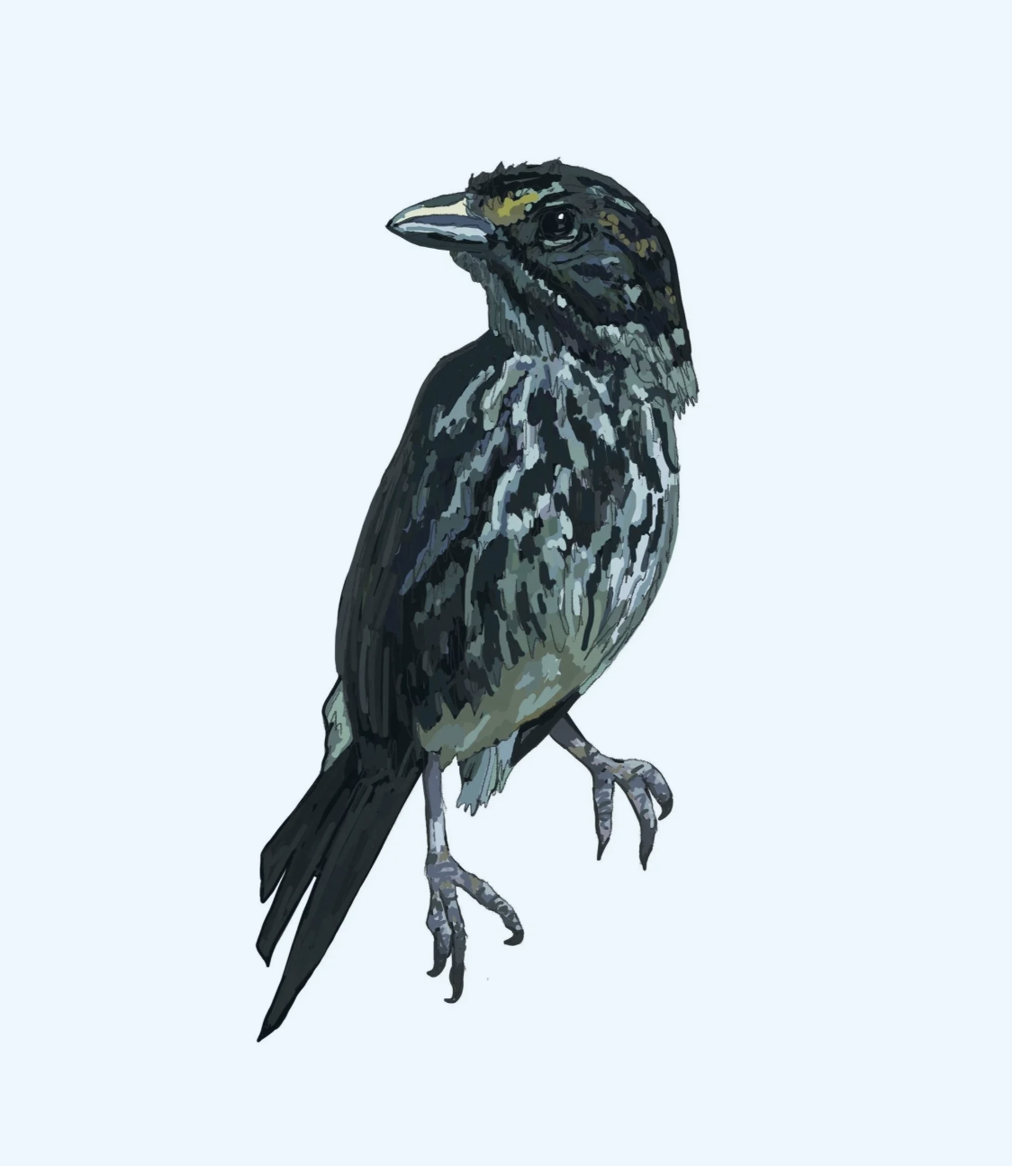 Dusky seaside sparrow