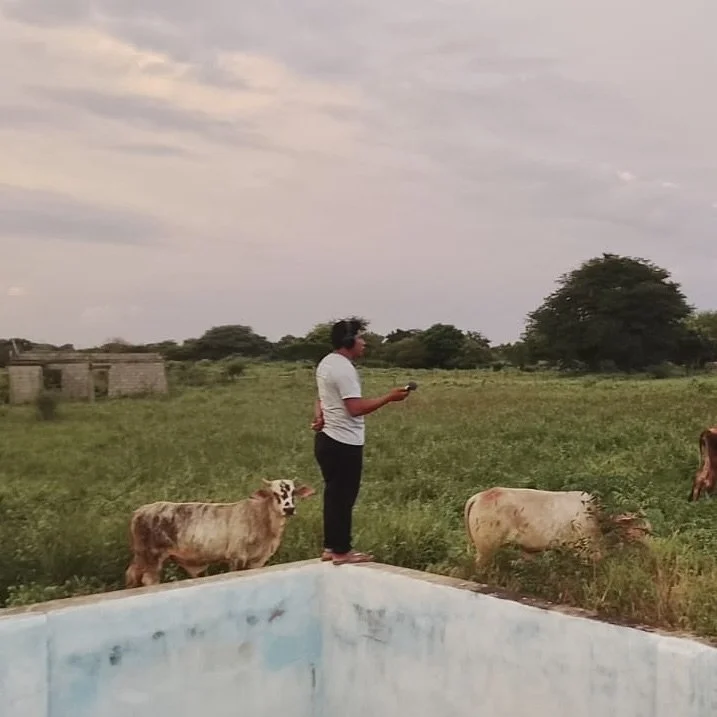 Sound Bank: EarthSonic Fund 2025