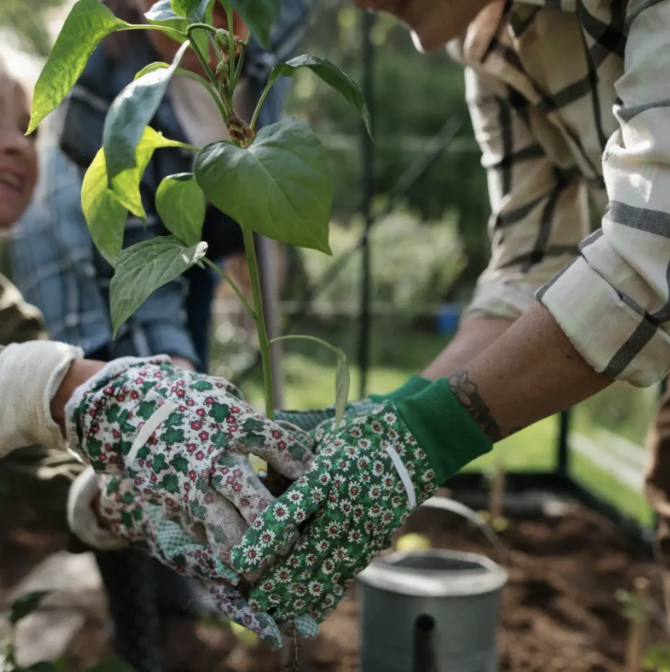 ‘Healthy Planet, Healthy People’: Catalyst Award