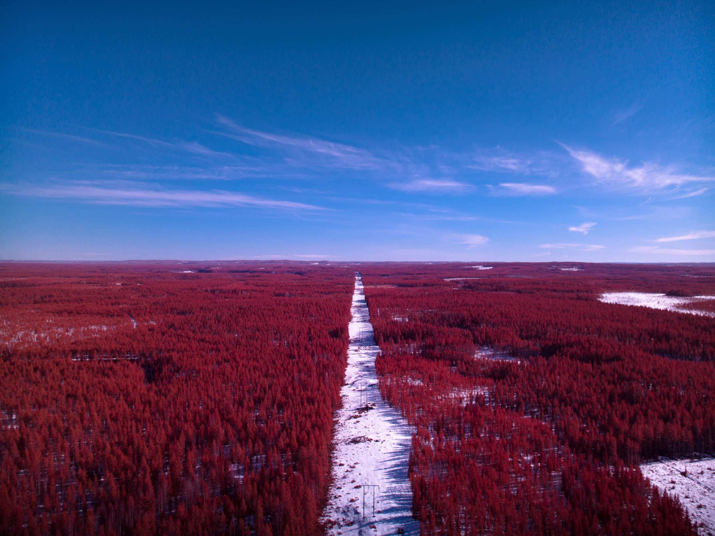 DJI_20250323075916_0100_D.jpg