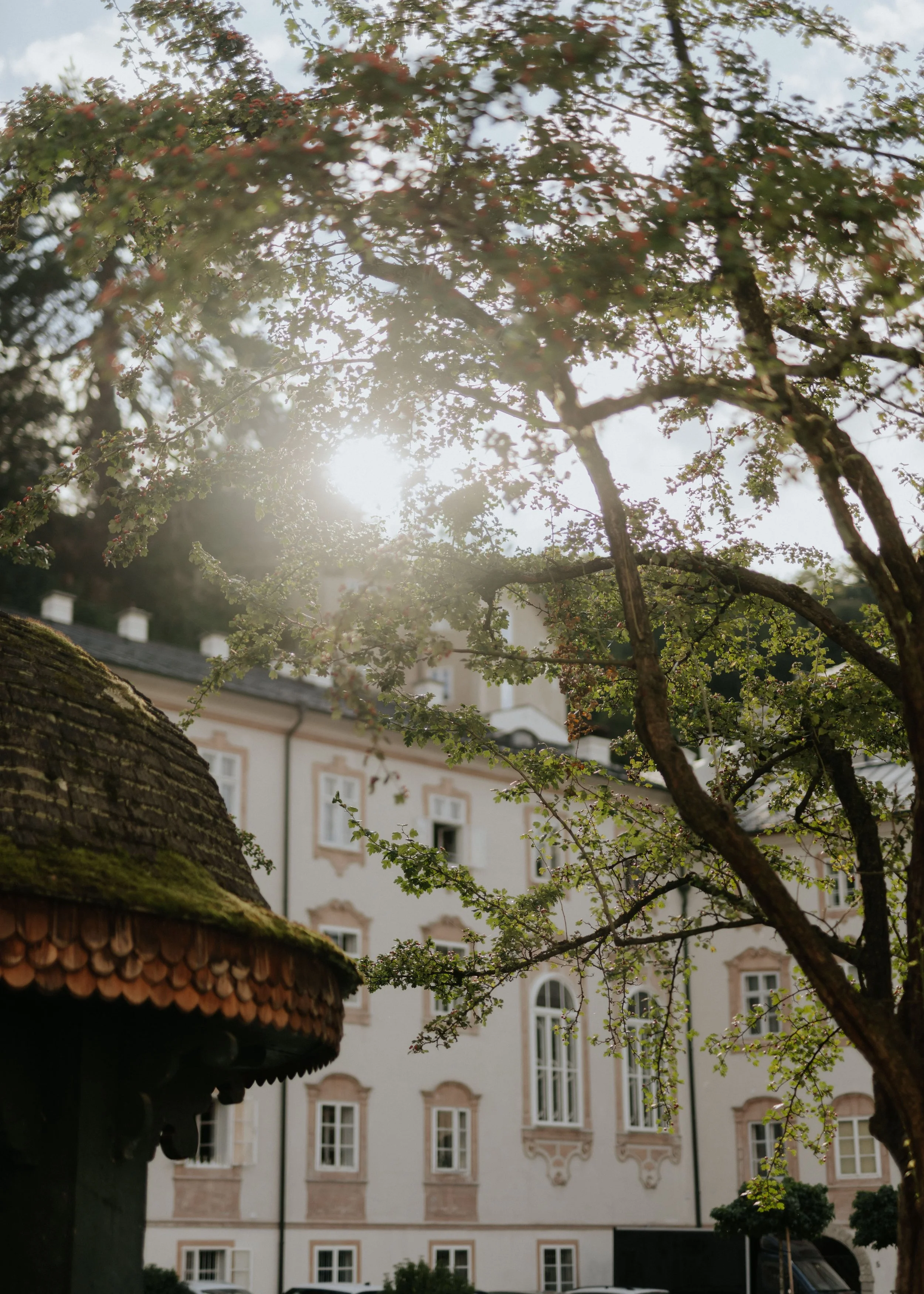 Sonne blitzt durch die Bäume