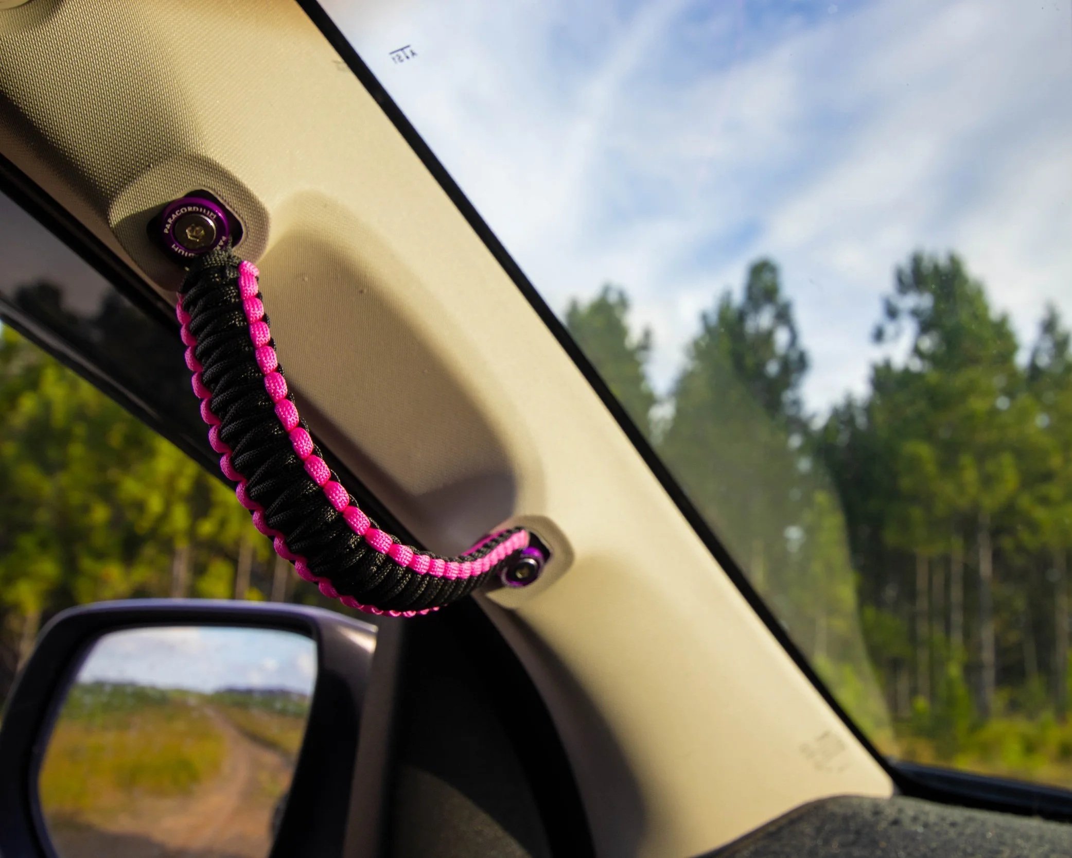 Black And Hot Pink Grab Handles