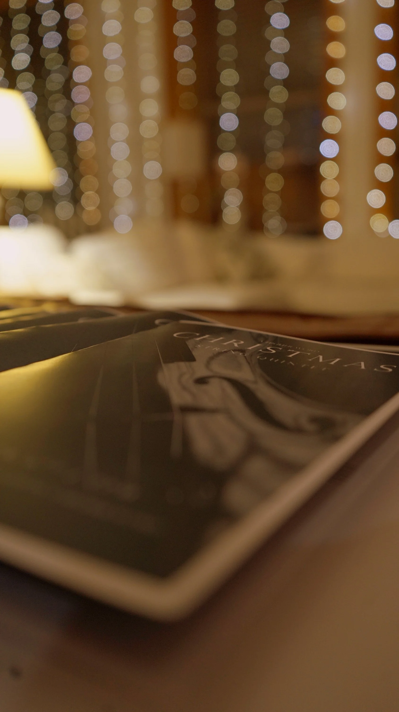 Sony A7II - Graebe, Brian Lecture Selection 06122023v1 (16).JPG
