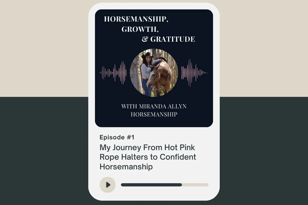 My Journey From Hot Pink Rope Halters to Confident Horsemanship