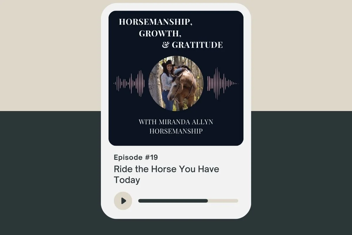 Ride the Horse You Have Today