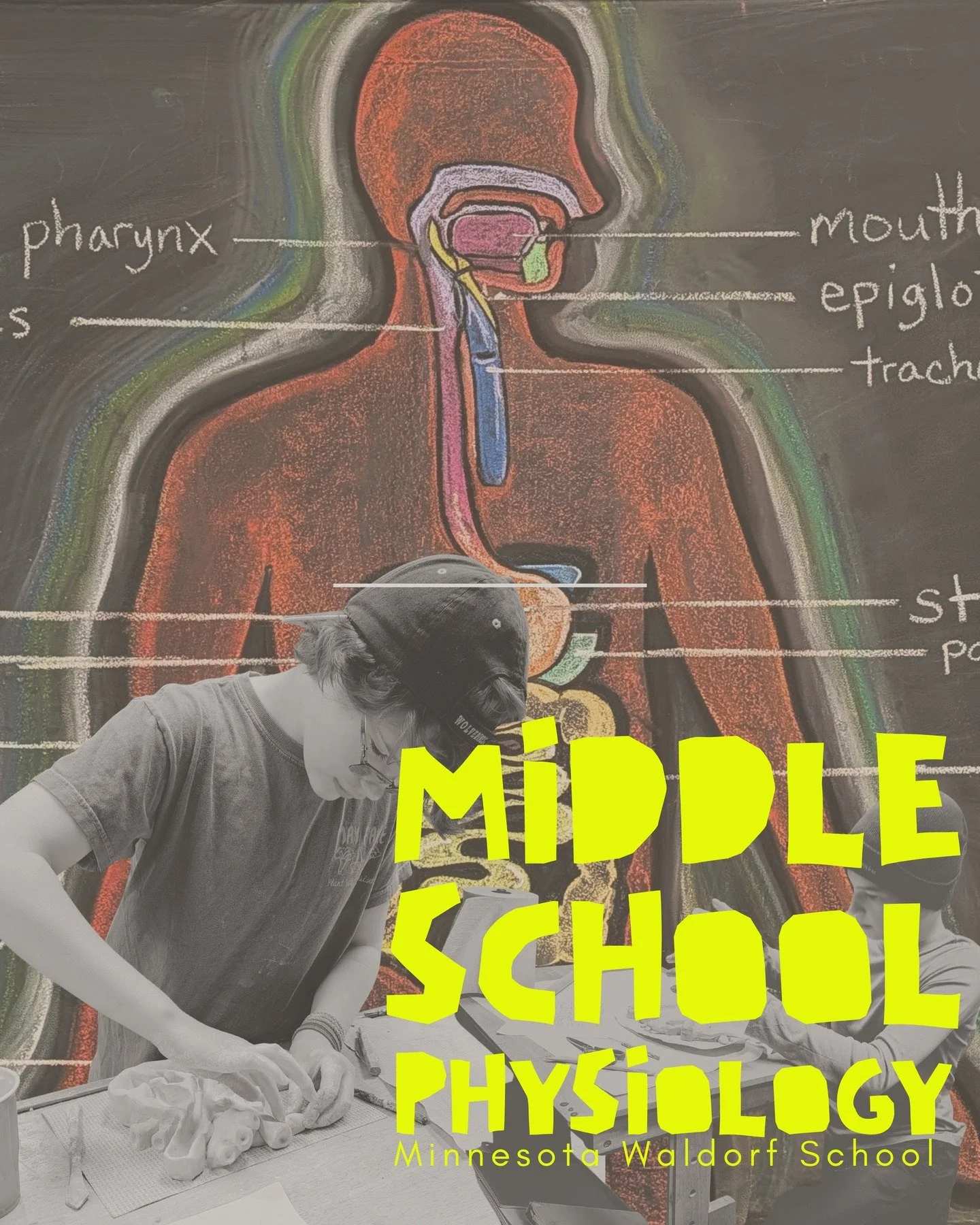 Middle school physiology at Minnesota Waldorf School is coming to life! Students have been exploring the form and function of the human body, and during their recent study of the cardiovascular system, they created clay models of the heart&mdash;comp