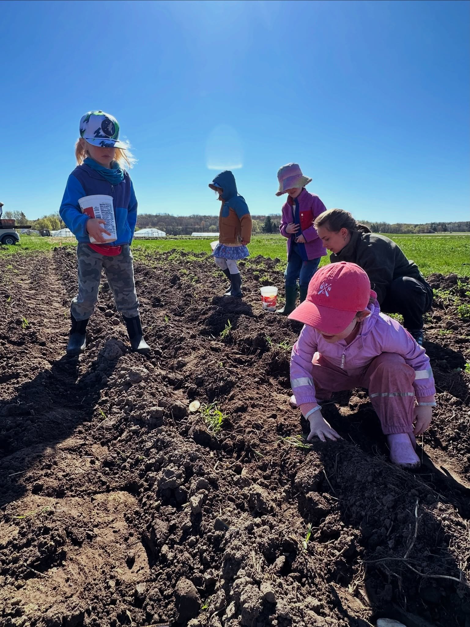 Early Childhood had a fun-filled day at @community.homestead ! 🌱 We rotated through planting potatoes, caring for garden spaces &amp; learning about composting, and making friends with farm animals 🐄🍓 We wrapped up with a picnic, story, and play t