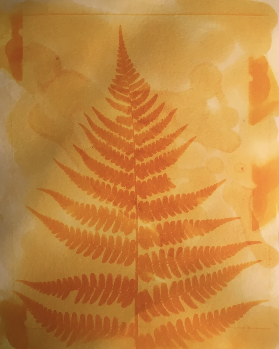Invisible Ink Using Turmeric