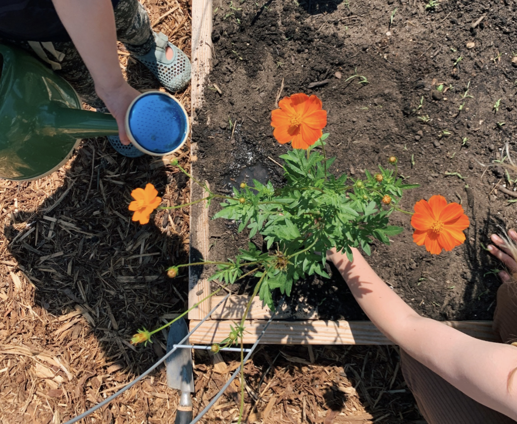 Kindergarten Camp Week 3, Make our Garden Grow: July 13-17