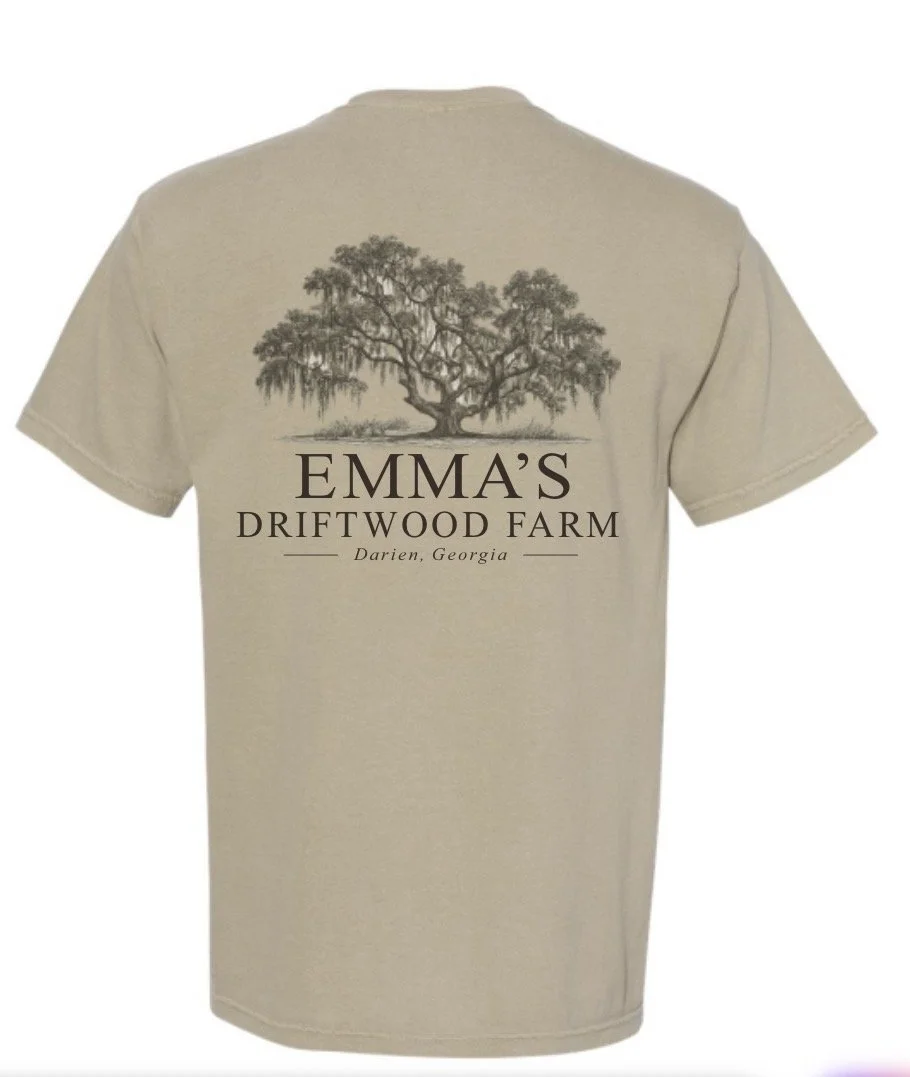 khaki shirt tree.jpg