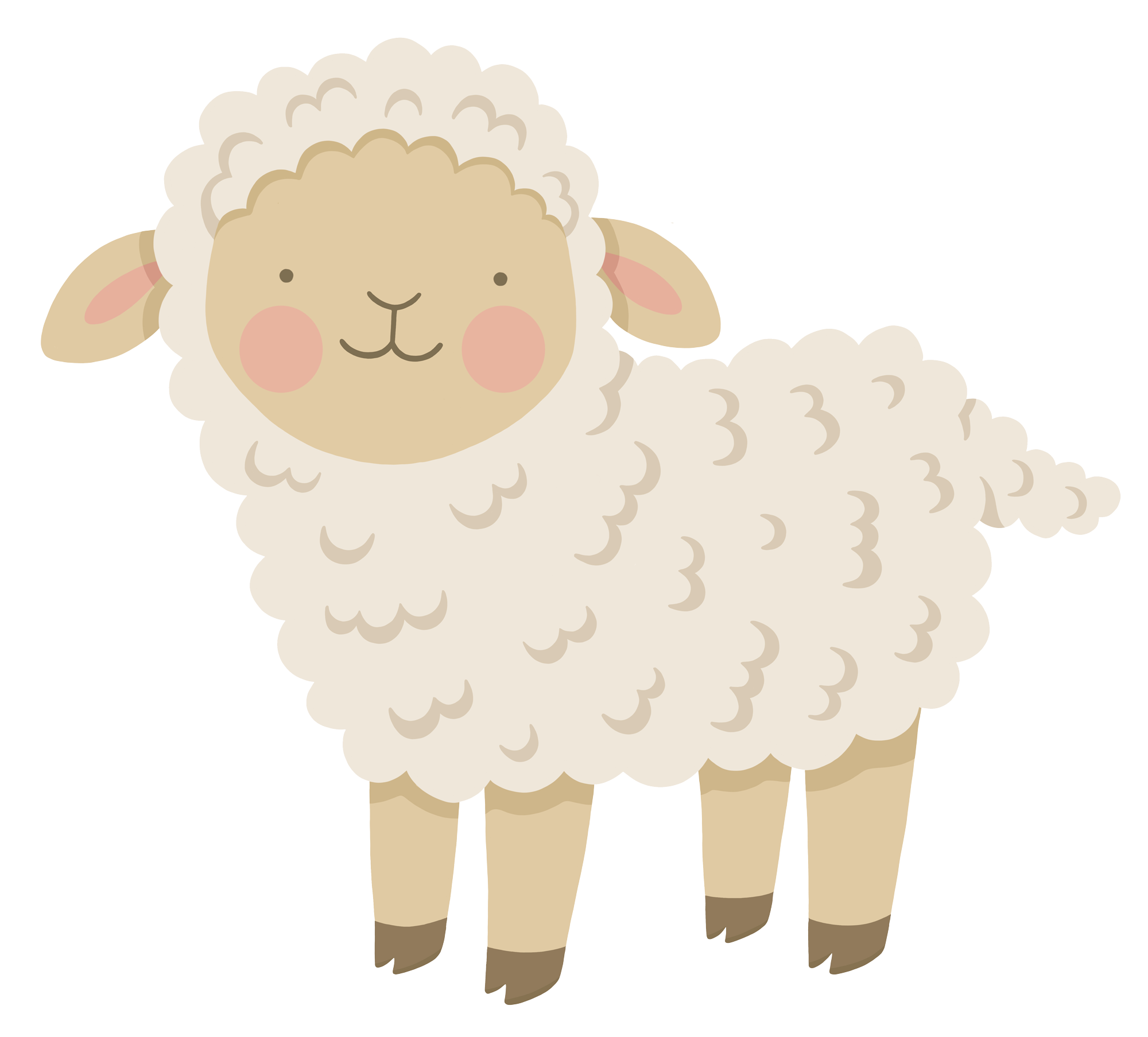 Illustrated Sheep