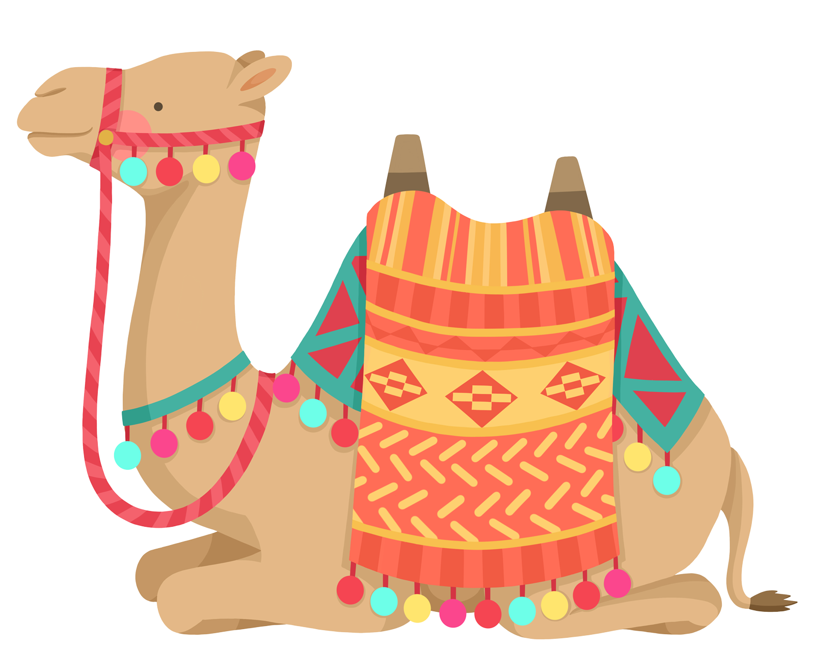 Camel Illustration