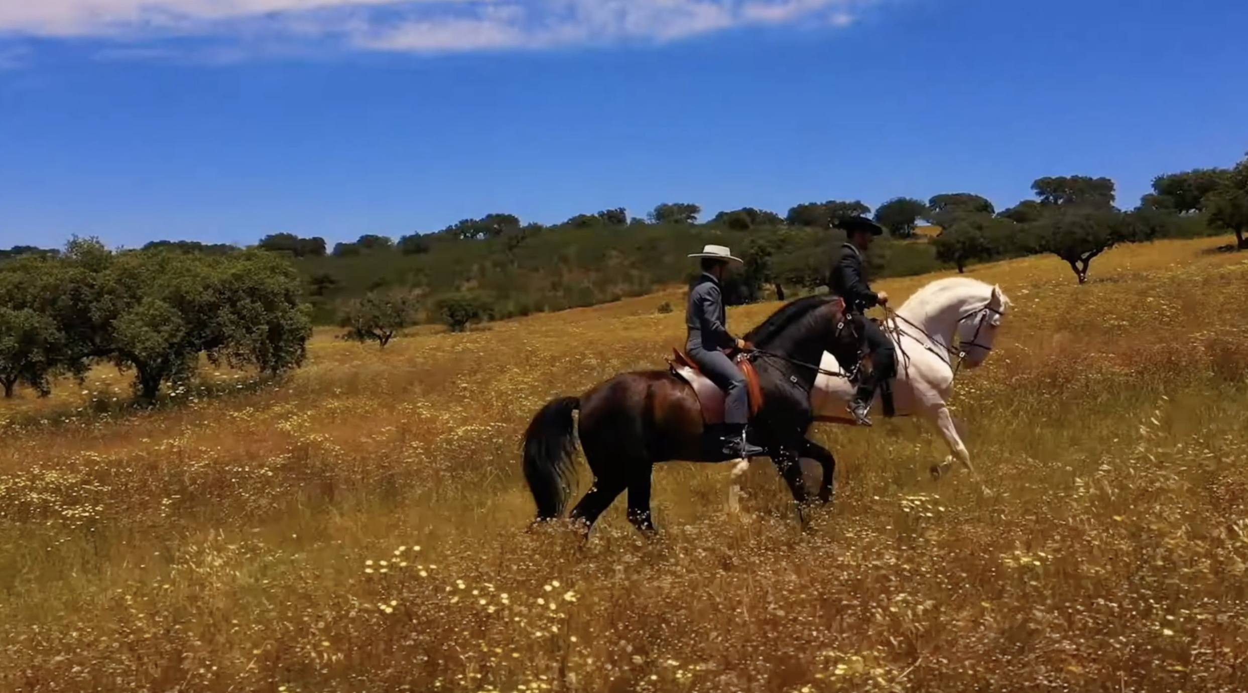 Screenshot 2024-06-11 at 1.53.35 PM.png