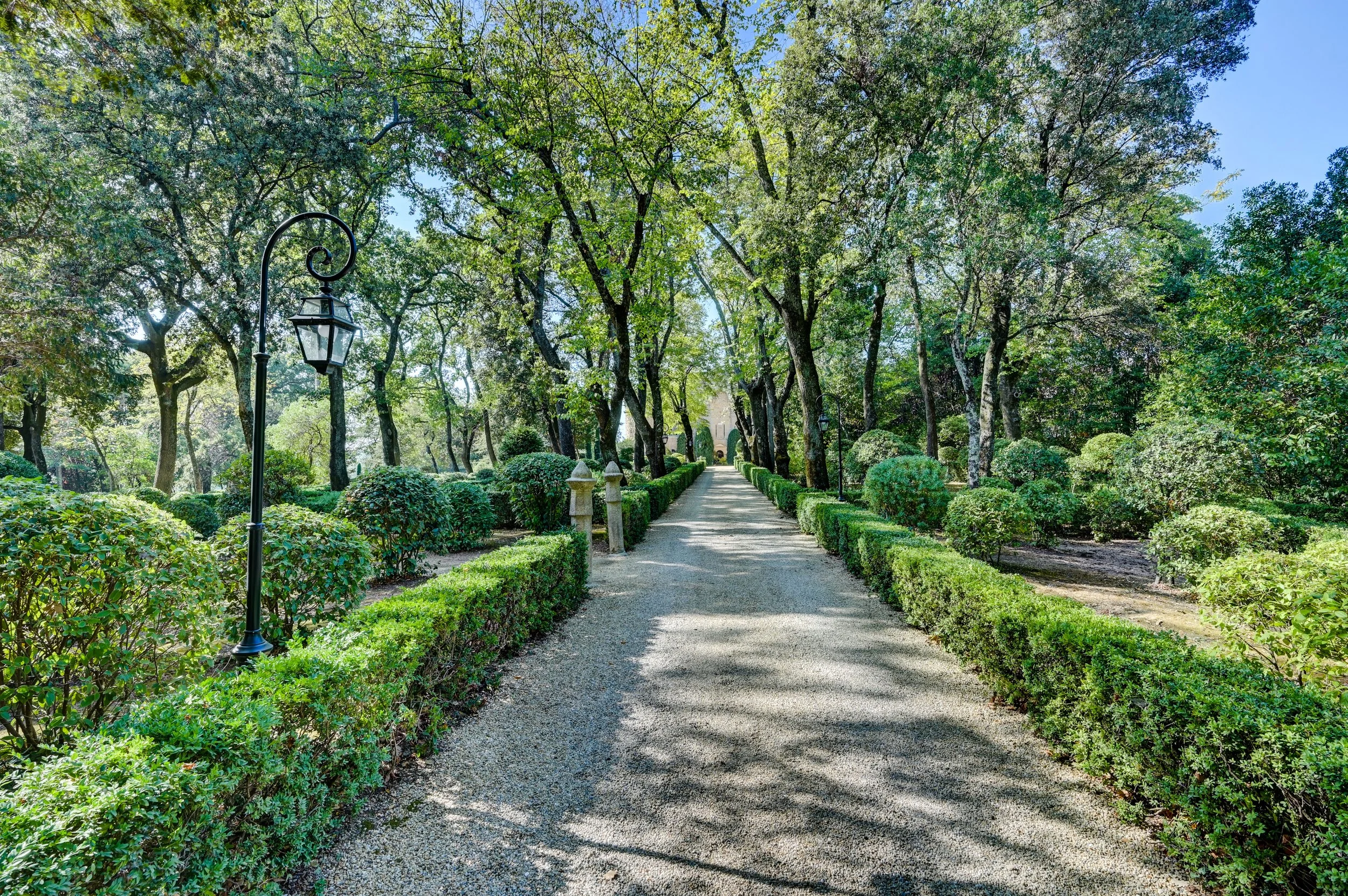 allée vers le chateau.jpg