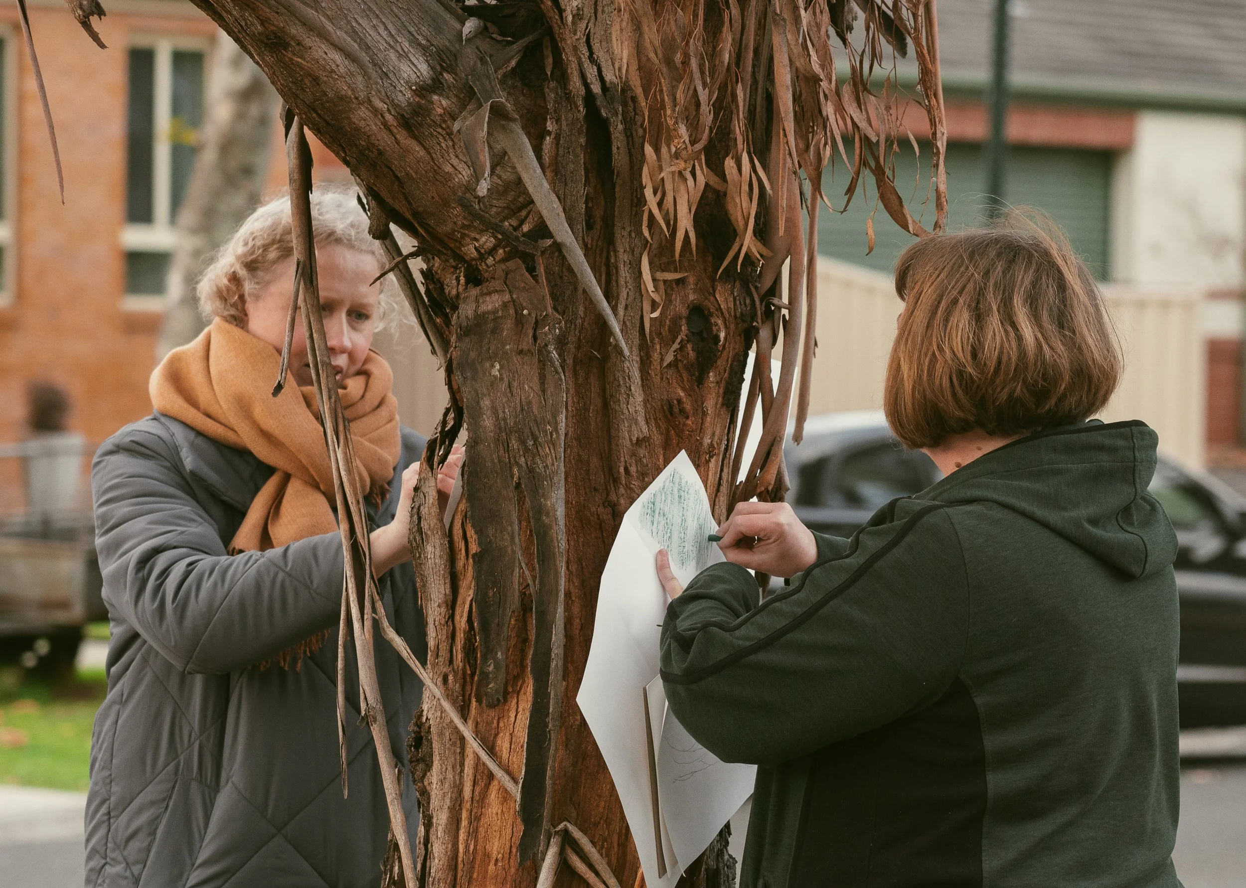 DCMC & City of Whittlesea