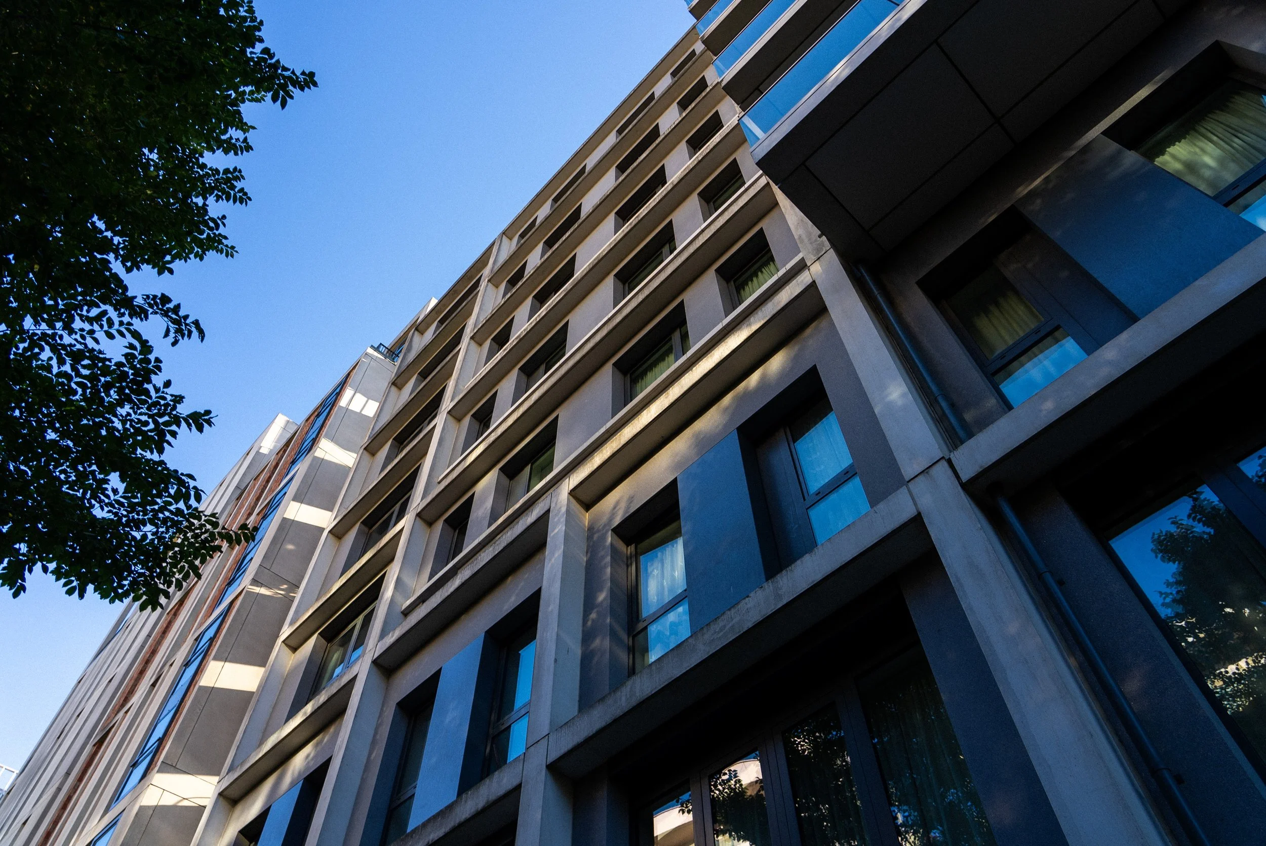 Low-angle view of a modern multi-story building with large windows reflecting the blue sky and a tree branch partially visible in the upper left corner.