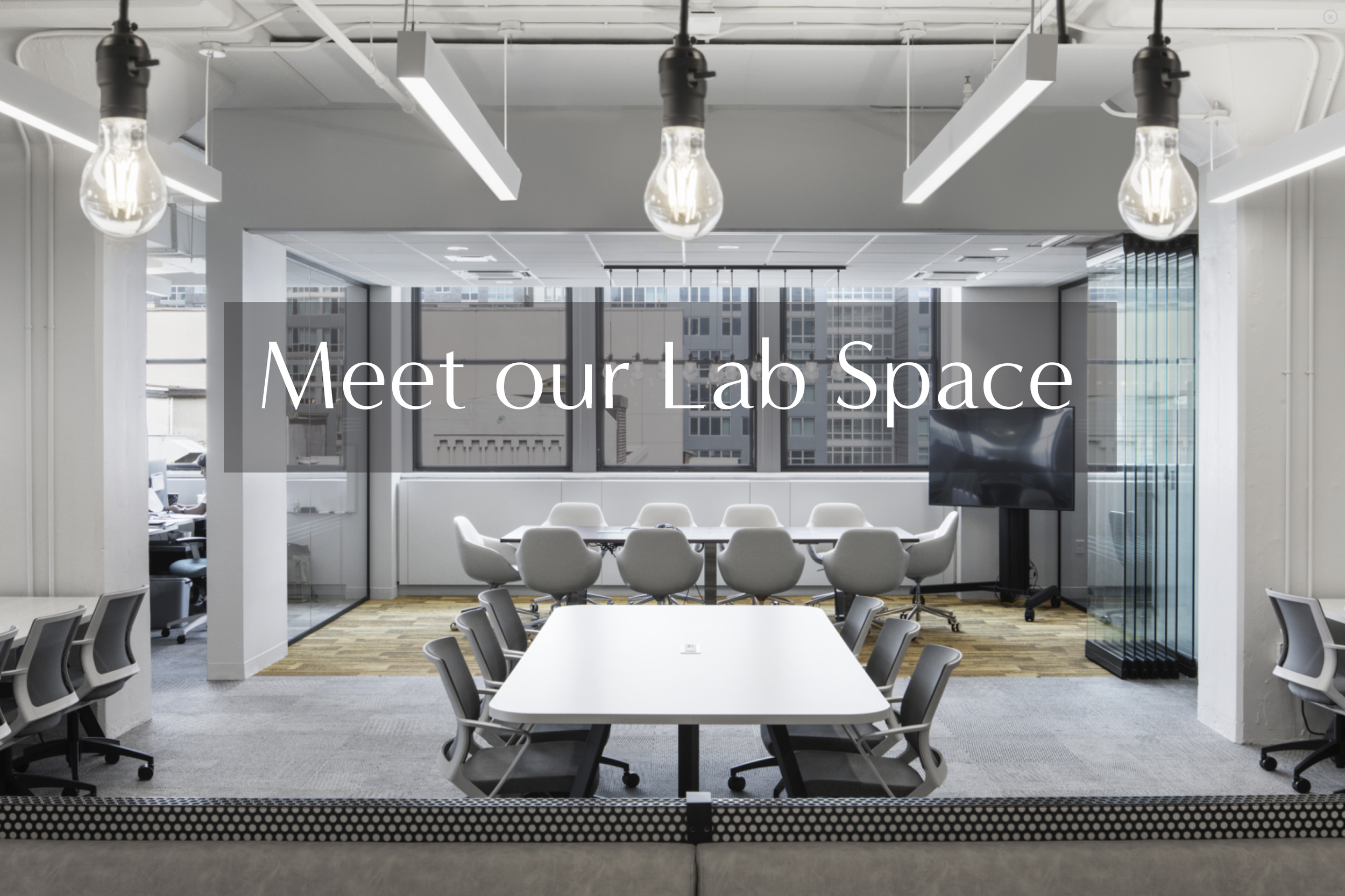 Victor lab