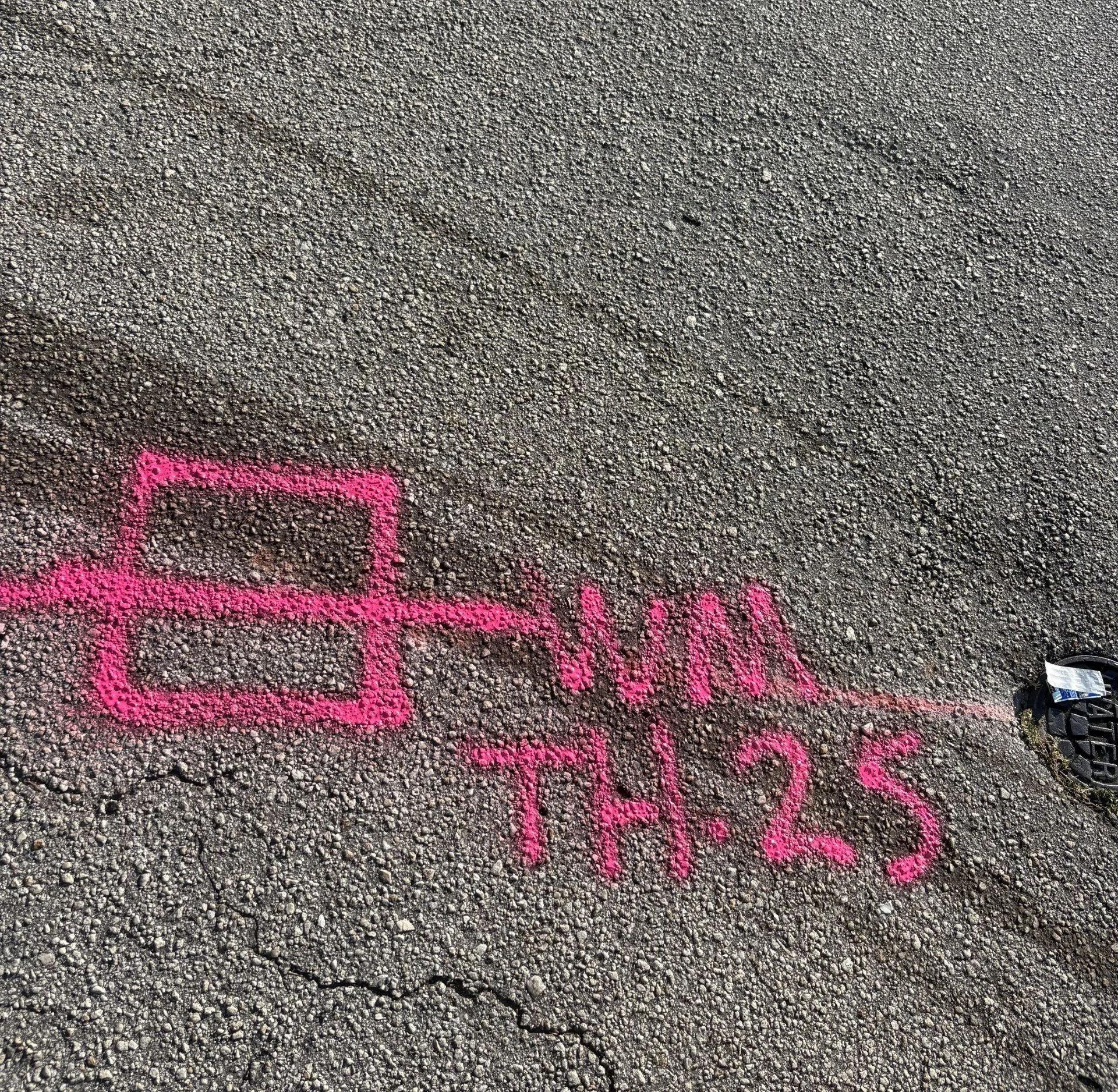 Pre-excavation photo for utility potholing services in Broward County.