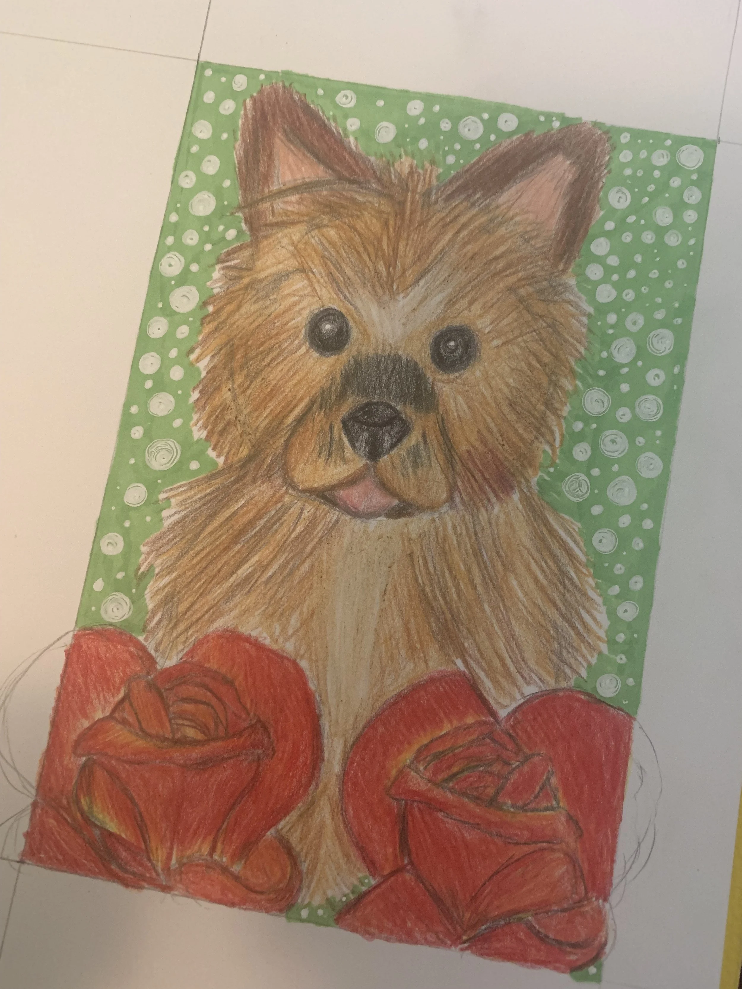 A little terrier. Gift for a friend