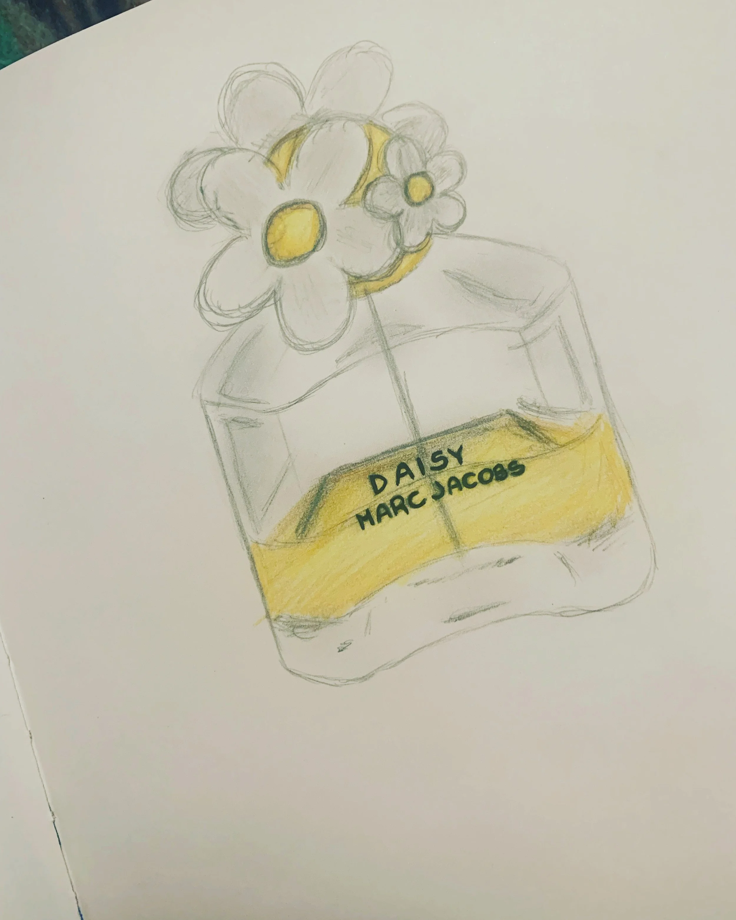 Pencil drawing of Marc Jacobs's Daisy Perfume.