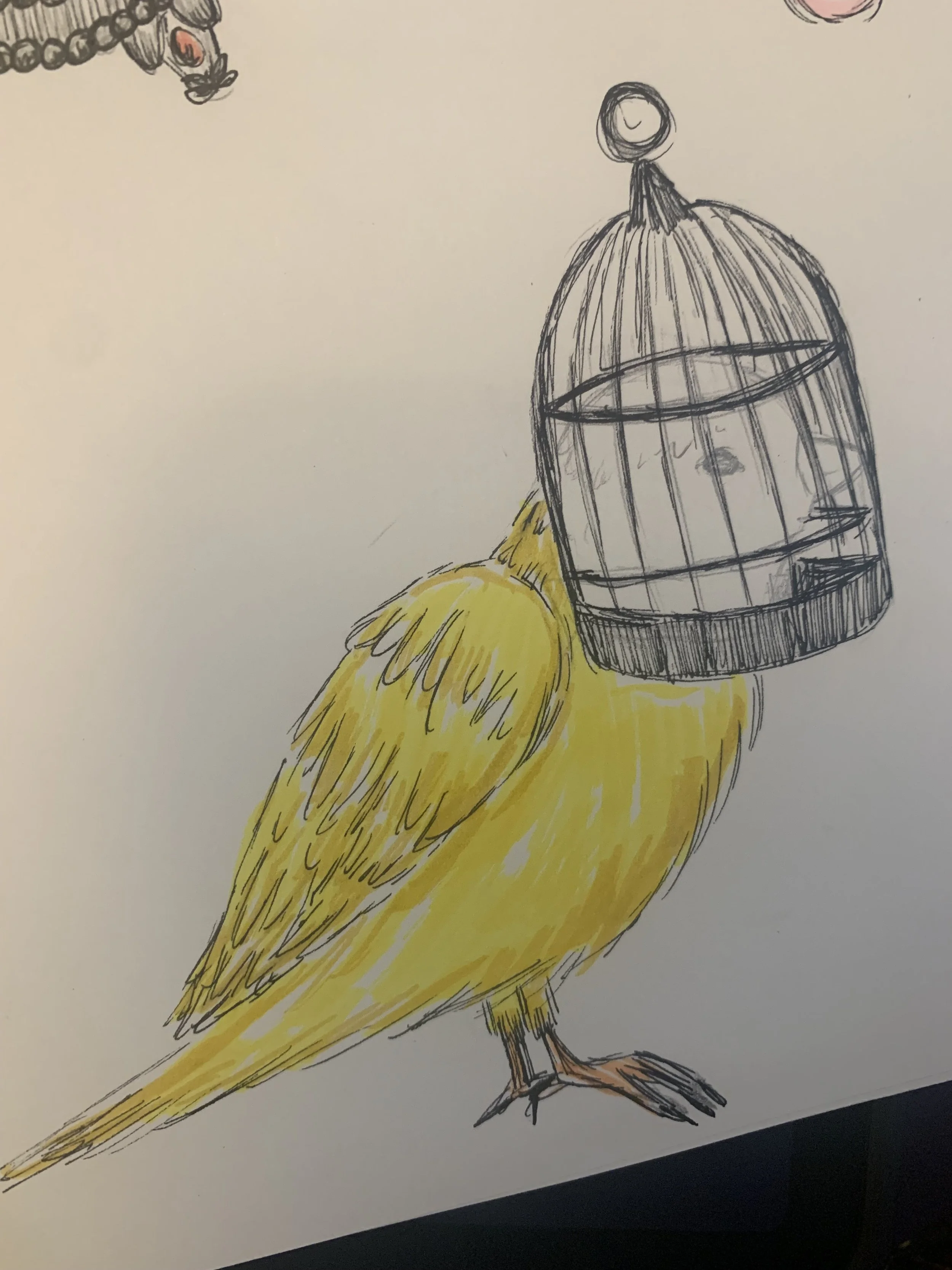 Ink sketch of a canary bird with its head in a birdcage.