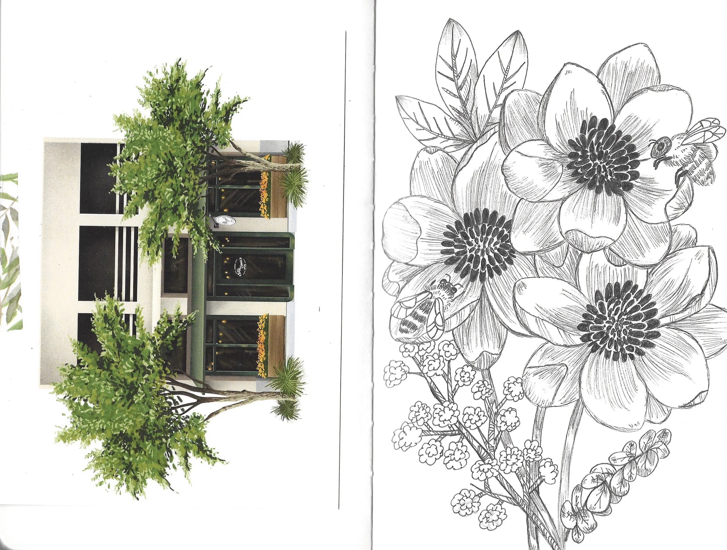 Sketchbook spread of an ink drawing of anemone flowers.