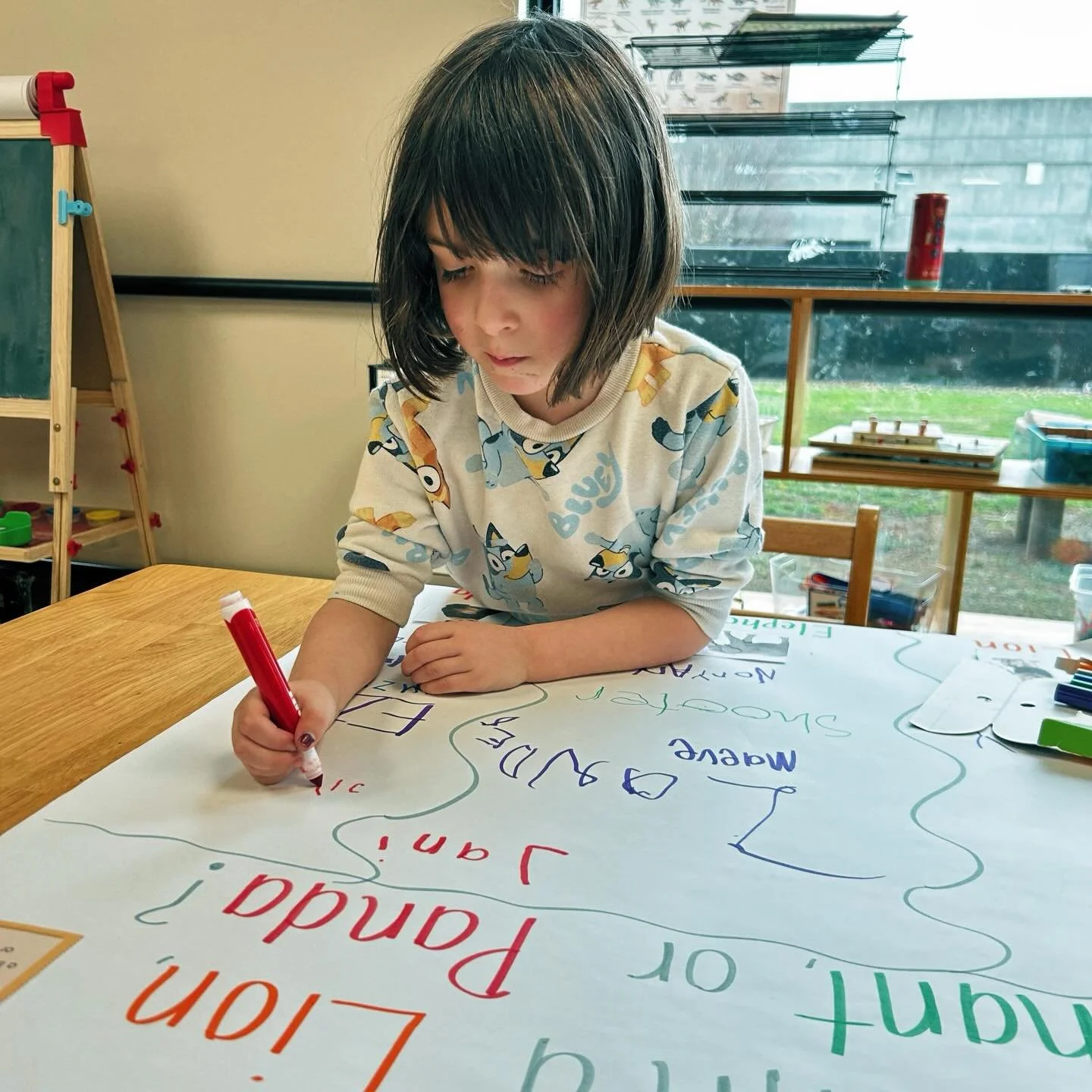Would you rather be friends with a lion or a panda bear? Learning about animals and surveys in Preschool!