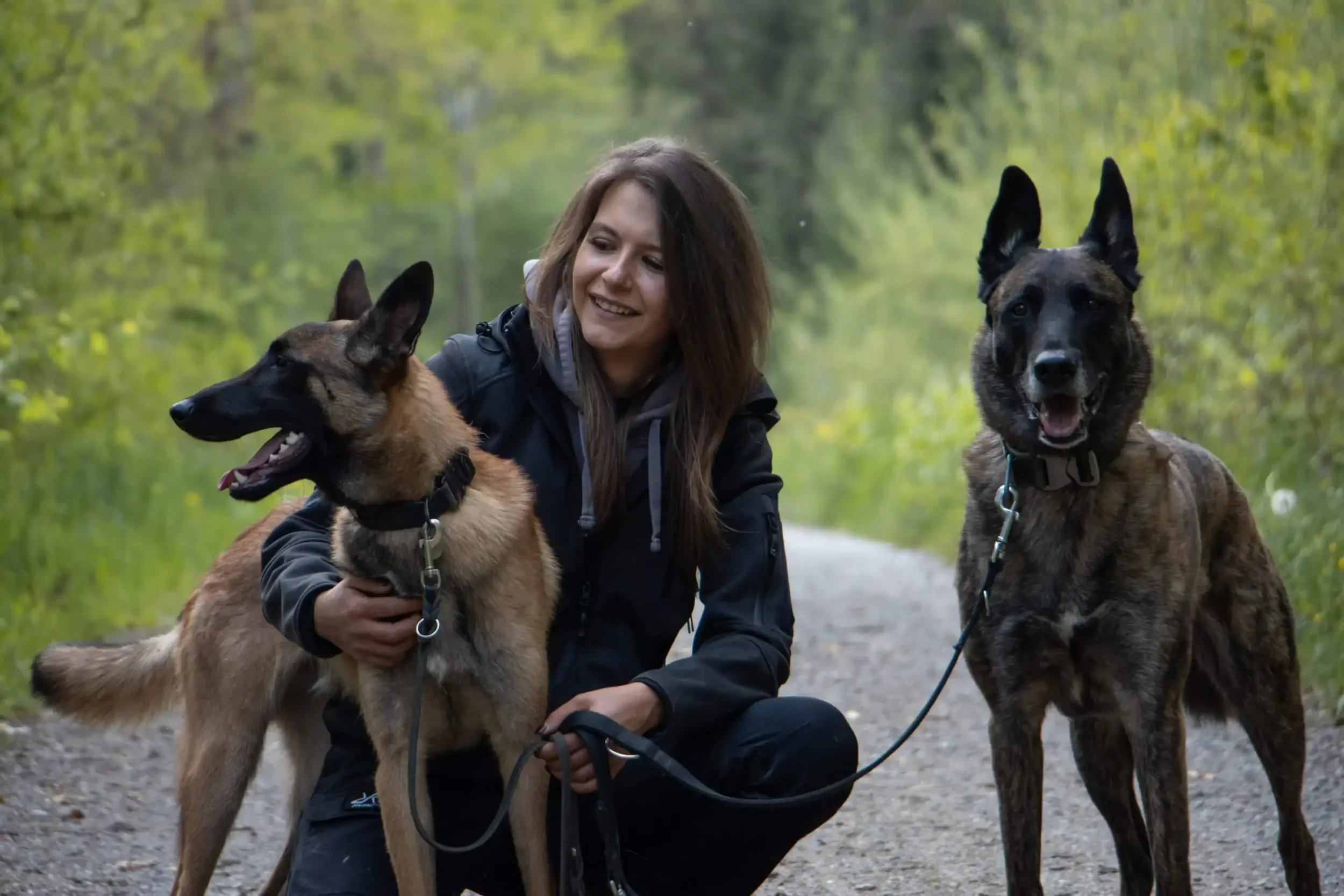 Junge Frau mit zwei belgischen Schäferhunden beim Spaziergang im Wald.