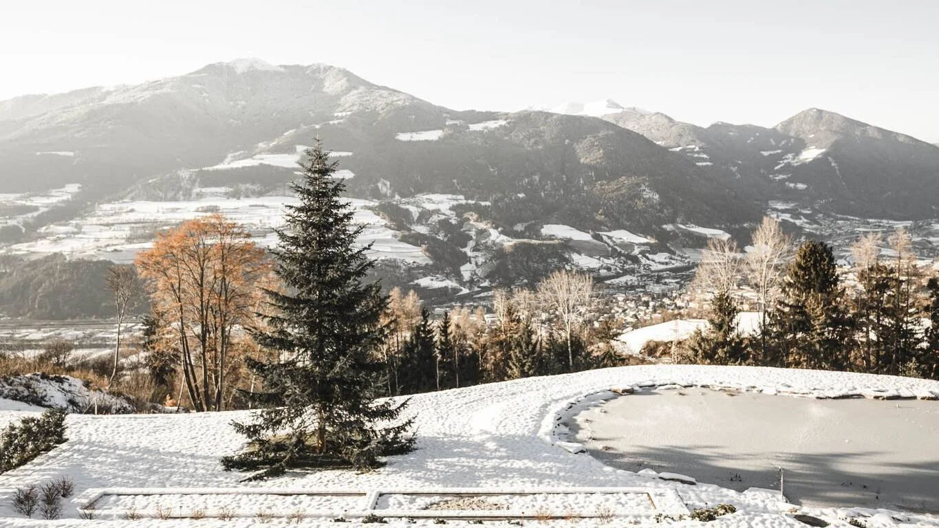 Schneebedeckter Garten mit Tannenbaum, Teich und Bergen im Hintergrund.