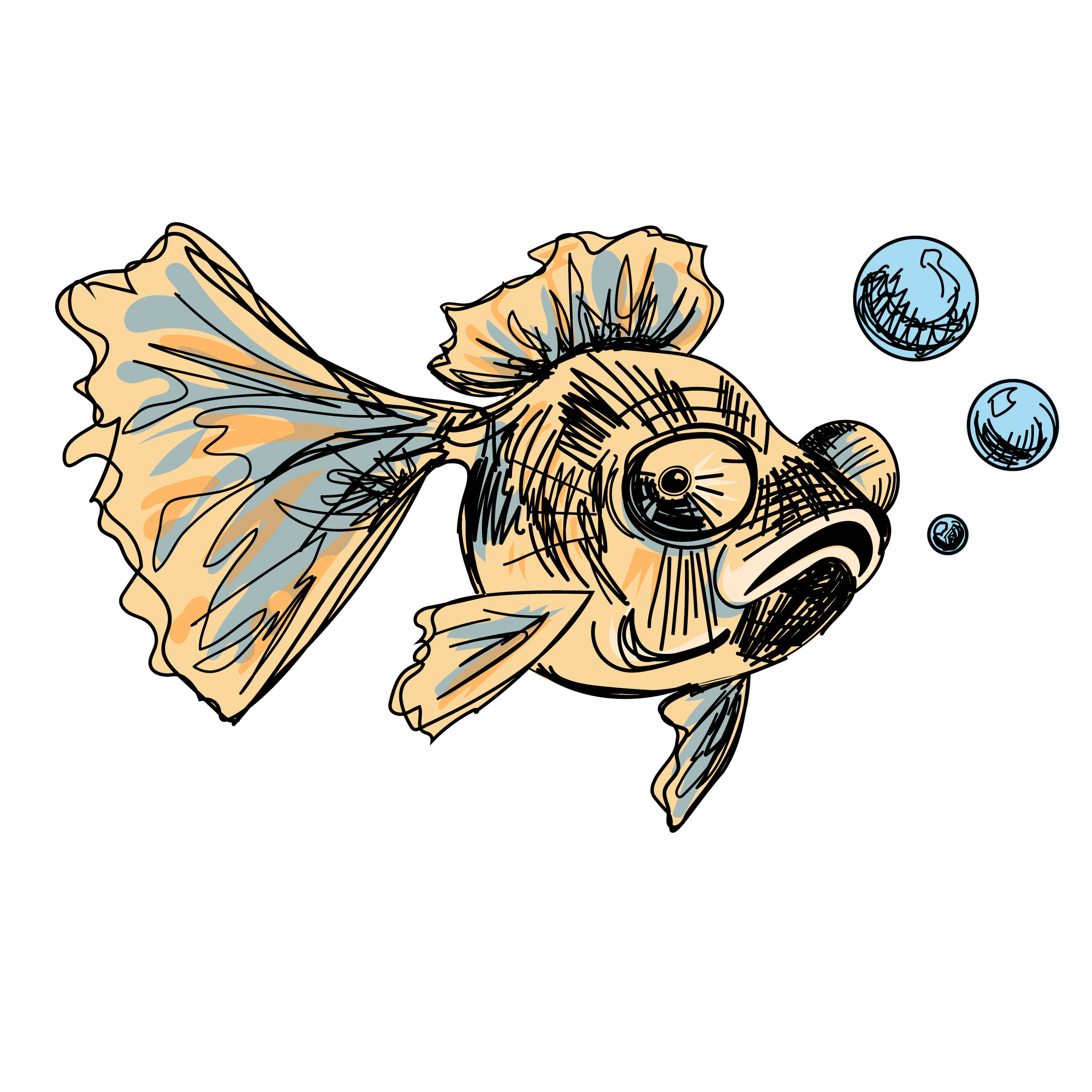 Goldfish Illustration (Wacom Tablet and Adobe Illustrator)