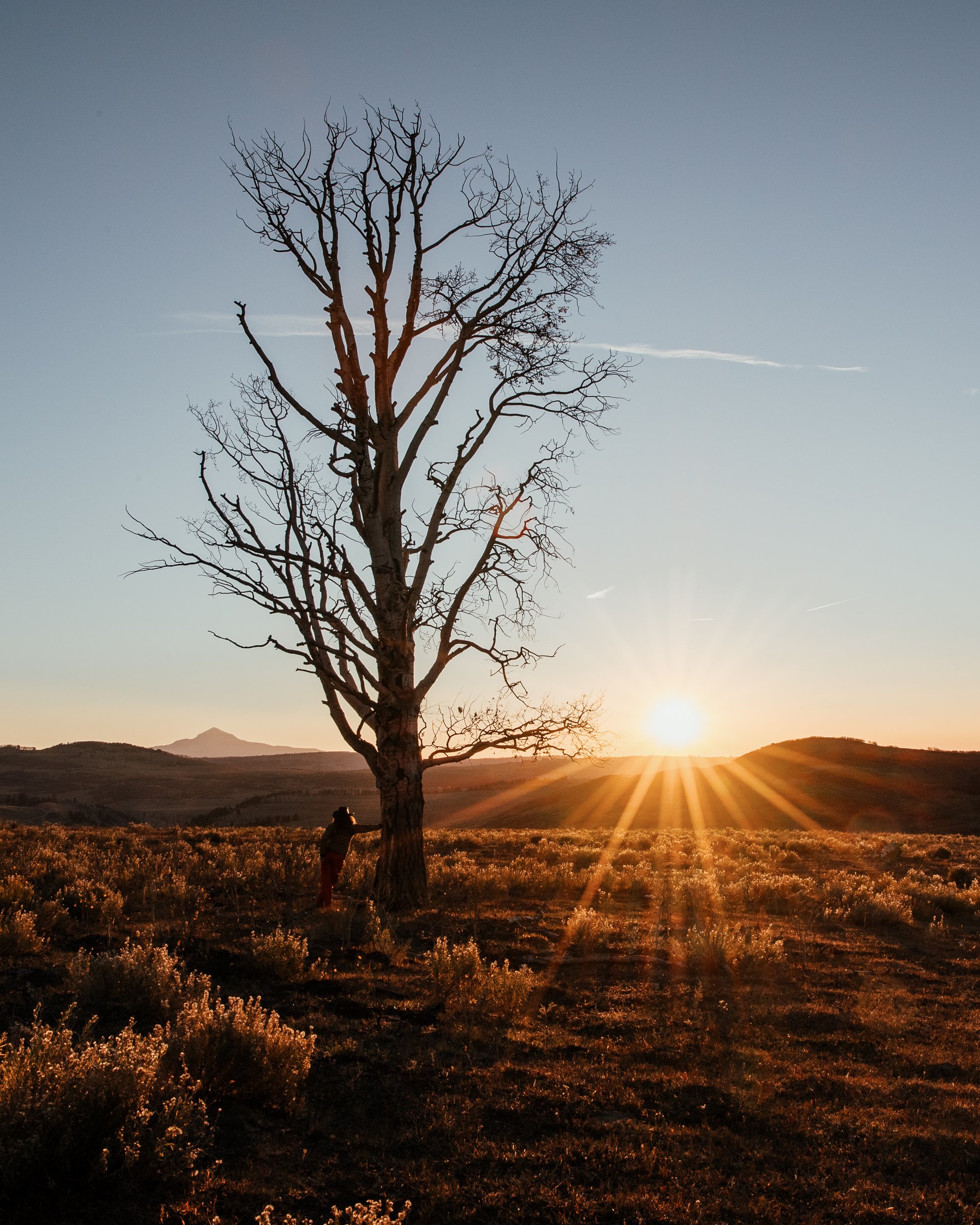 Autumn's Last Hurrah In The High Country