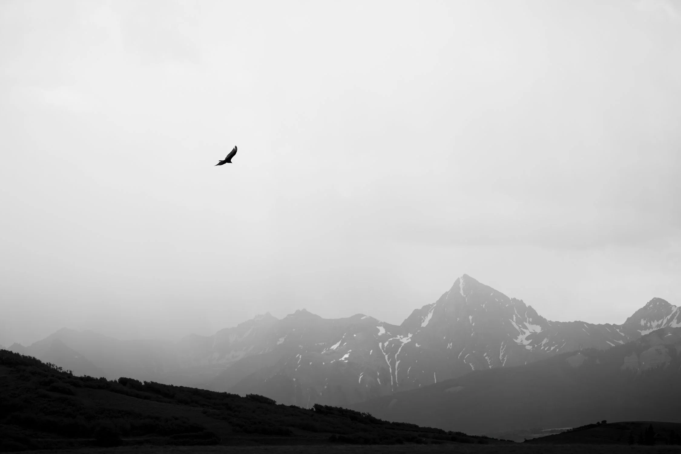 TWL-FineArt-11.jpg