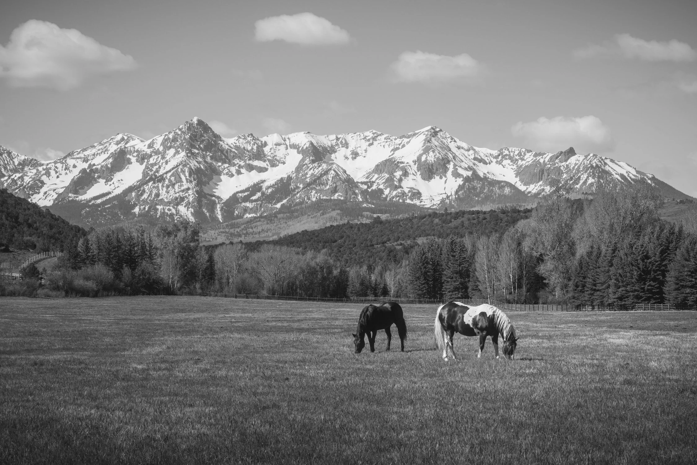 TWL-FineArt-4.jpg