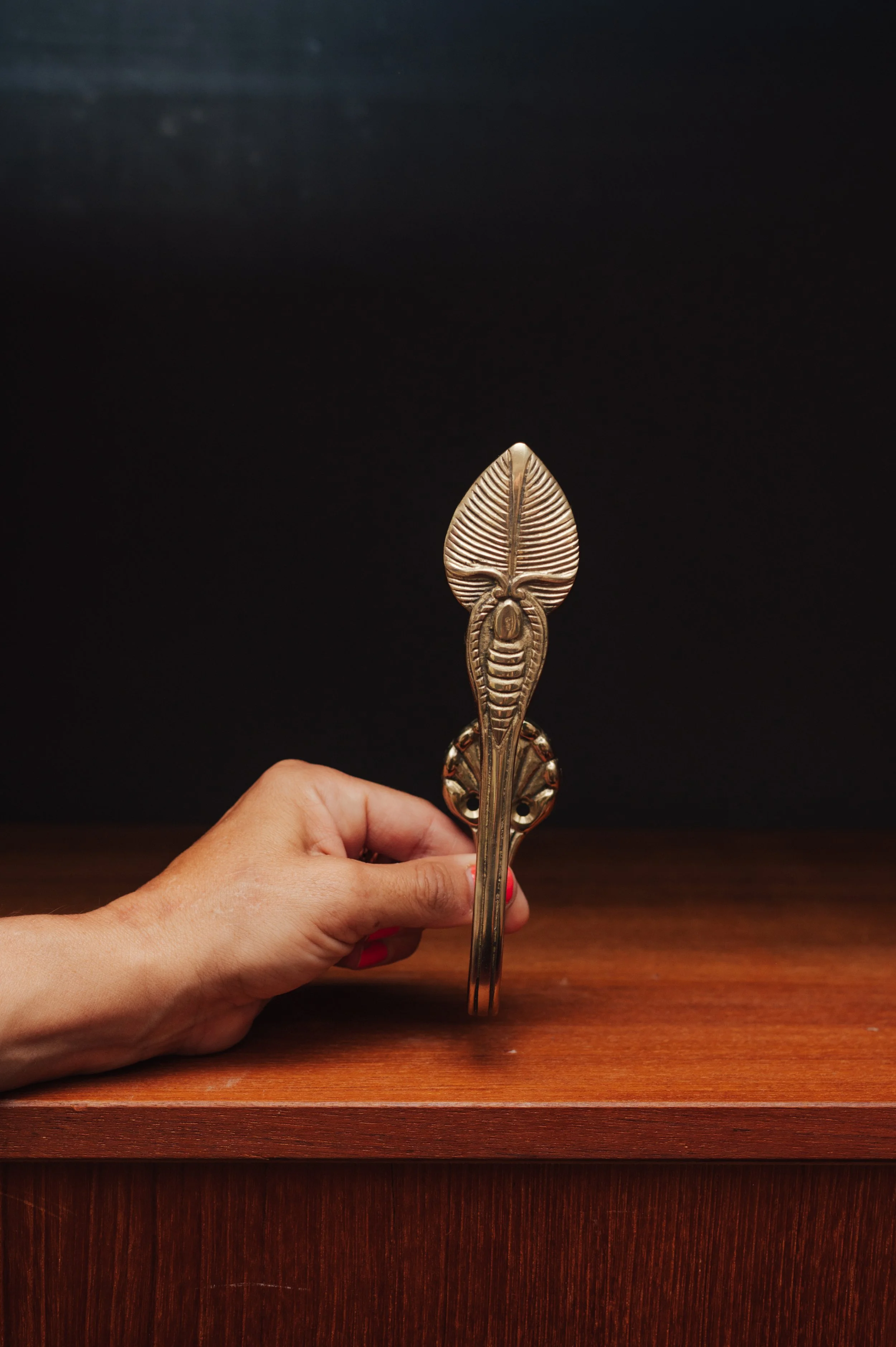 Vintage Brass Hook