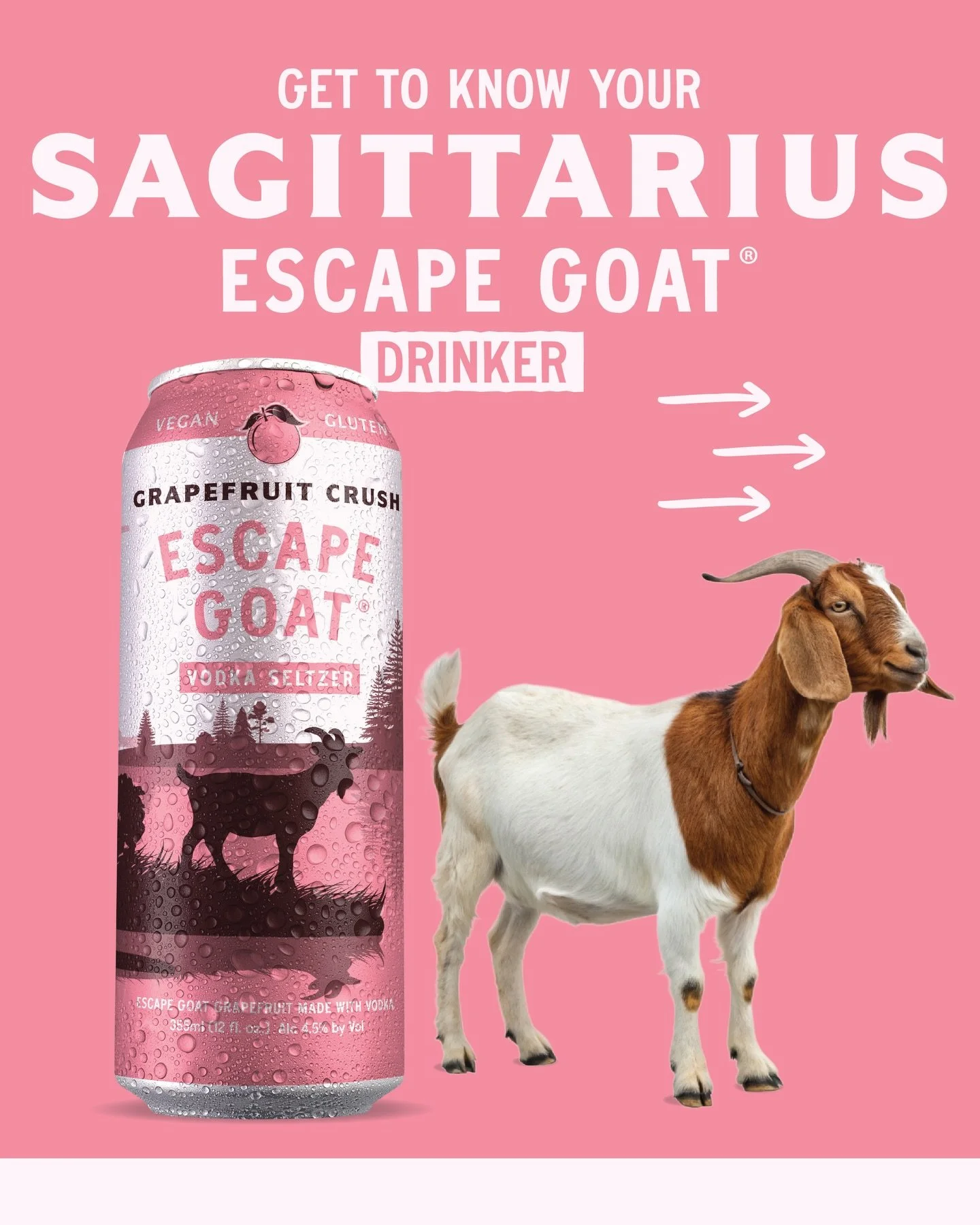 ♐️ Sagittarius season has arrived, and adventure is officially on the menu. Free-spirited, spontaneous, and always ready with an Escape Goat for the journey. Swipe to see what makes Sagittarius the ultimate Escape Goat drinker. #EscapeGoatSeltzer #Sa