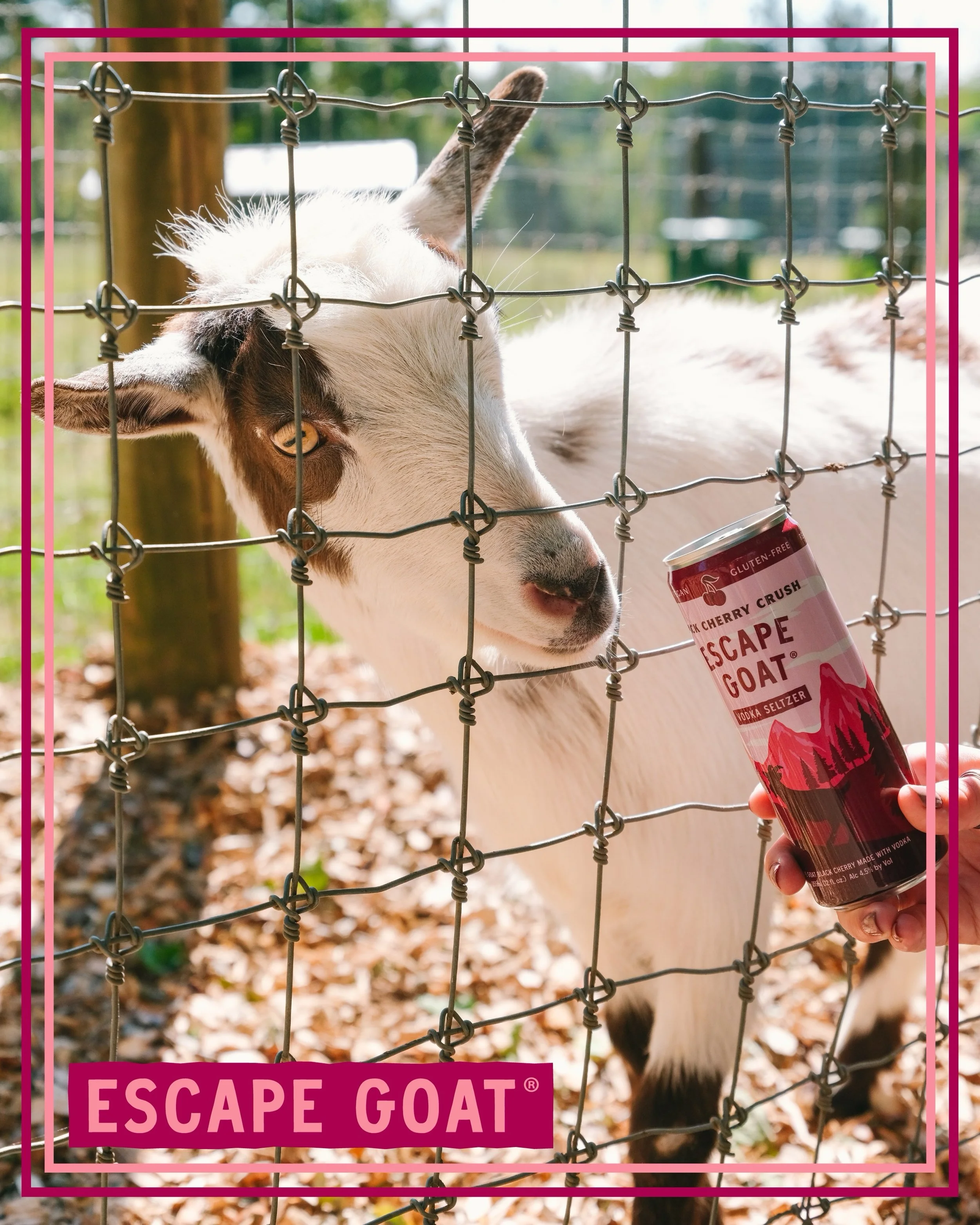G.O.A.T tested, Goat approved. 🐐