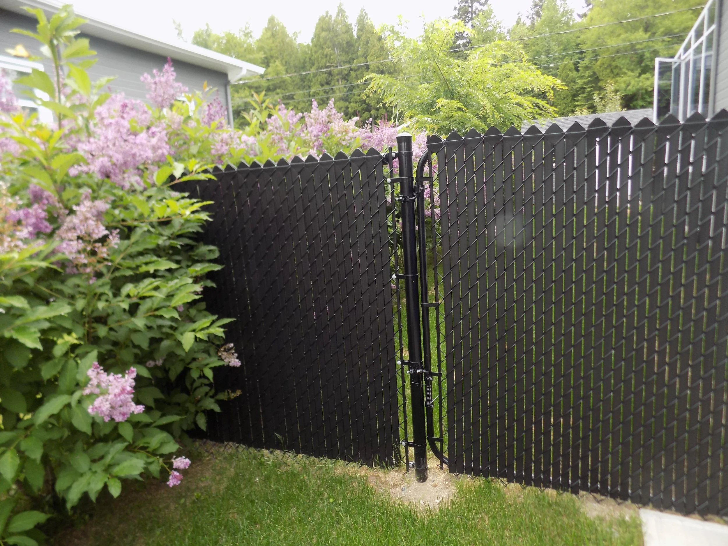 Clôture en mailles de chaîne noire avec porte simple 5' et lattes intimités