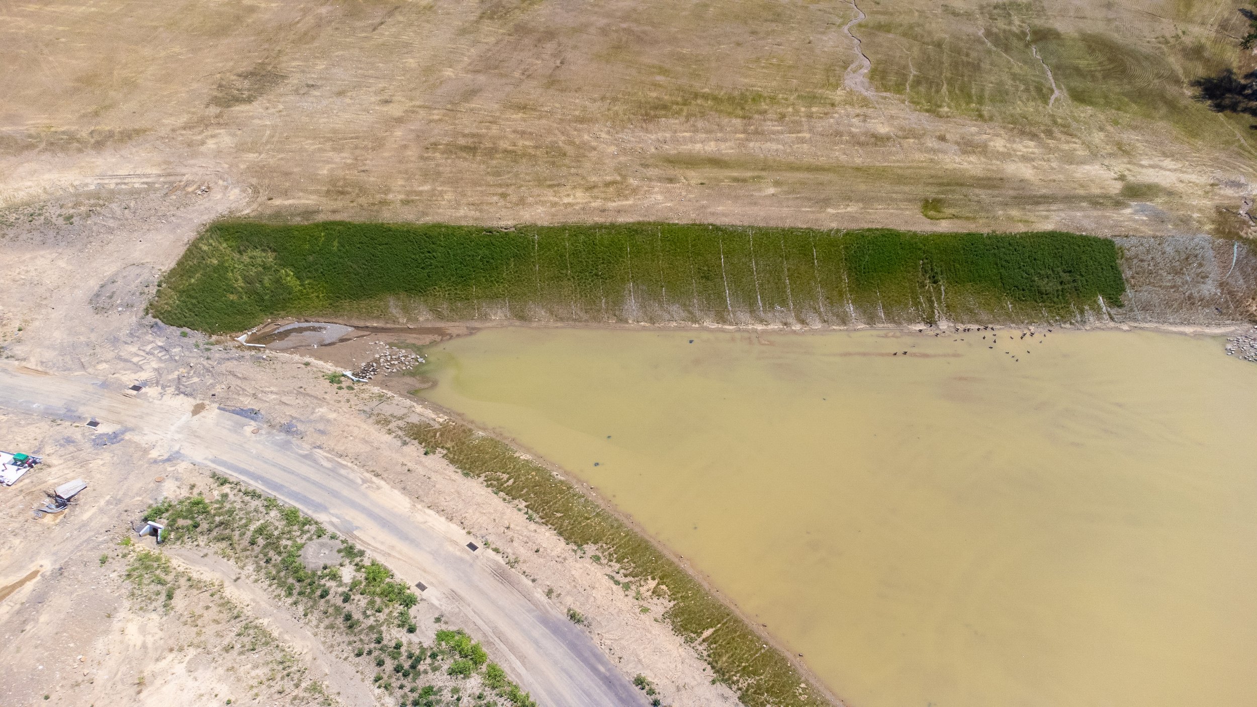 DJI_0330.jpg