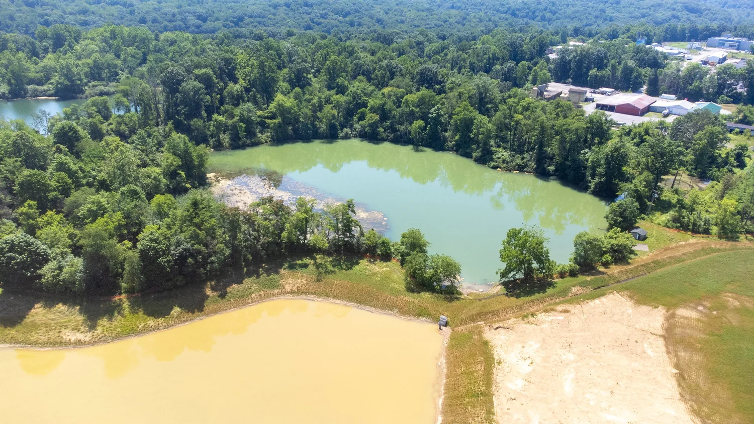 Aerial view of a greenish pond surrounded by dense trees and some buildings in the distance.