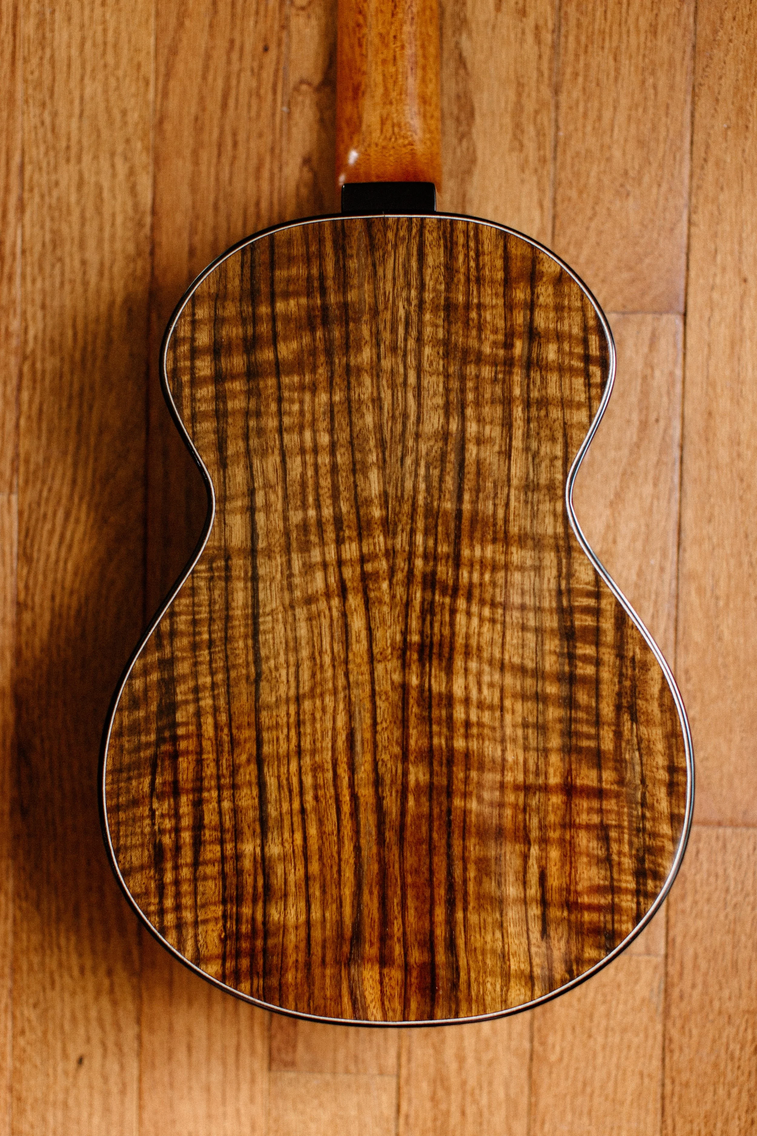 2026-Tom-Roeger-Guitars_86.jpg