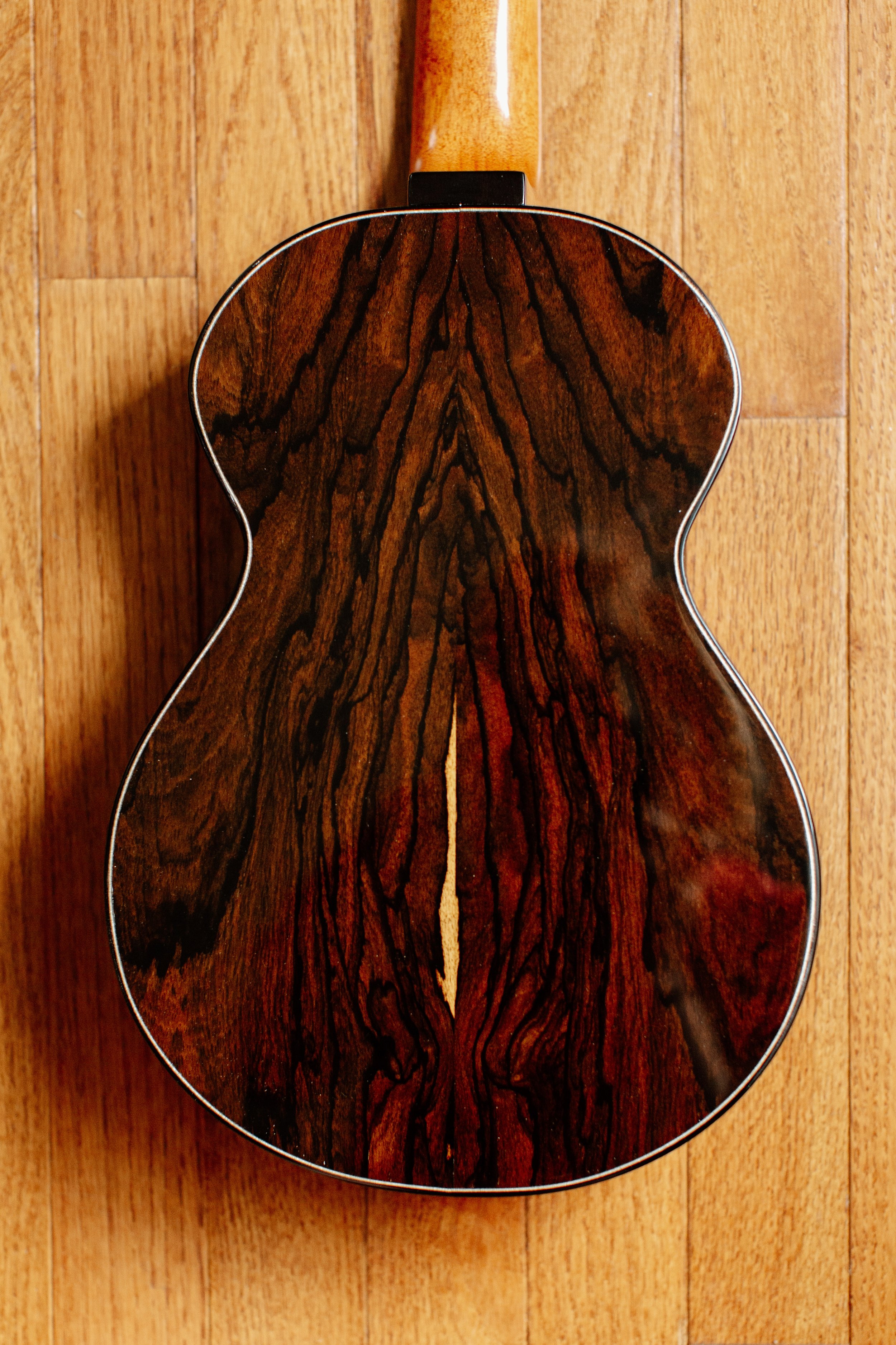2026-Tom-Roeger-Guitars_60.jpg