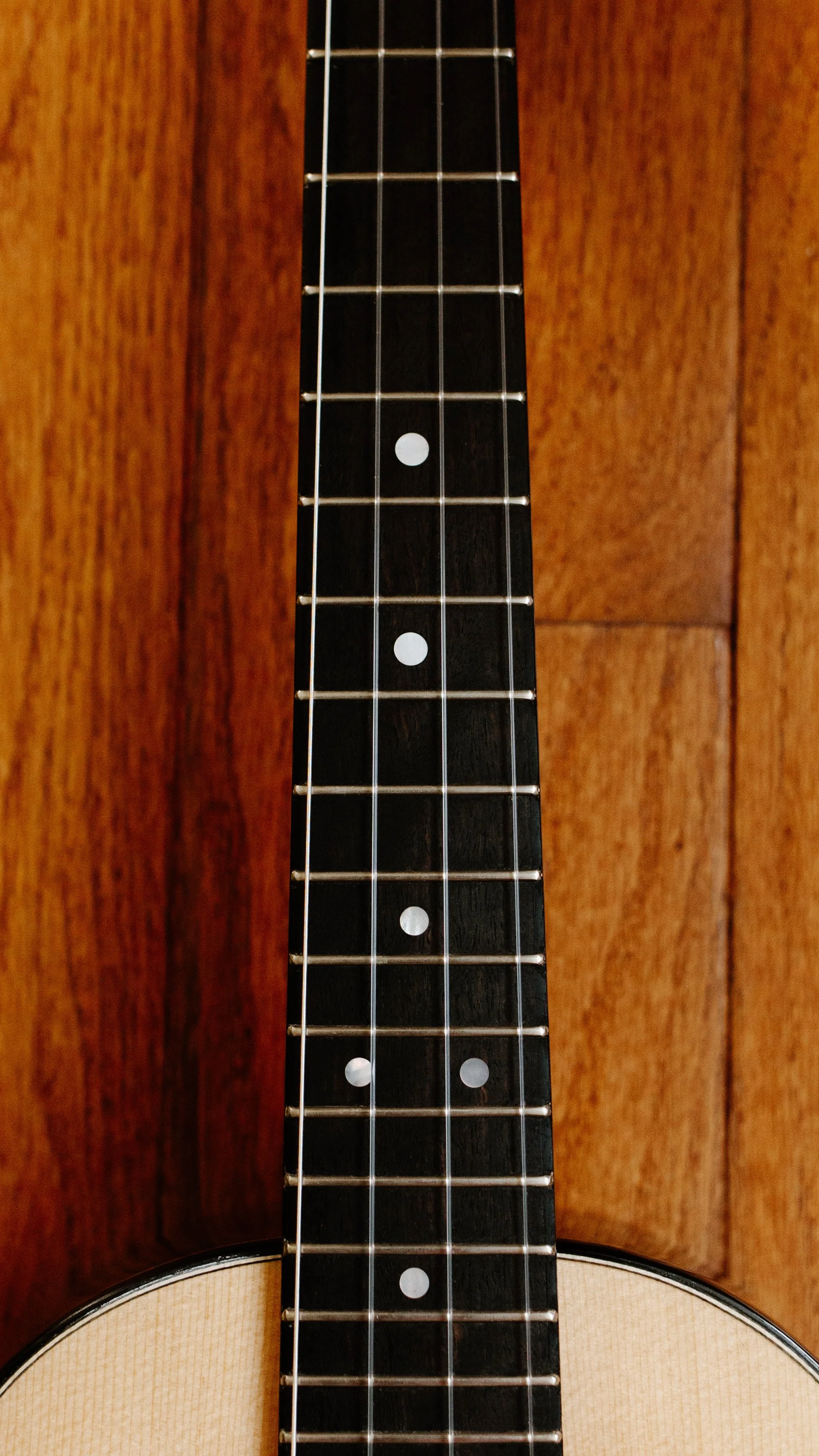 2026-Tom-Roeger-Guitars_29.jpg