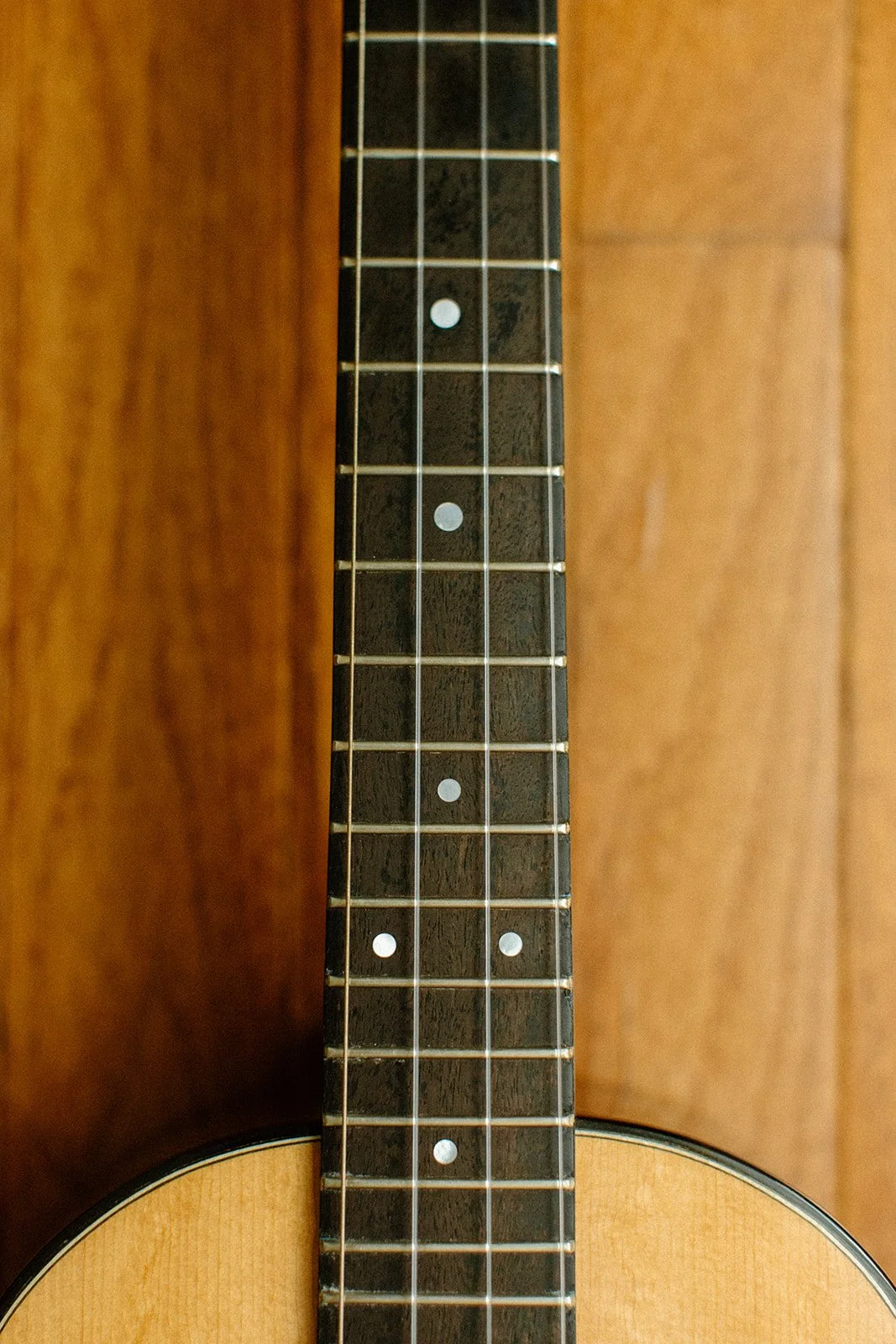 claresiebertphotography_TomRoegerGuitars_August_2025_134_websize (1).jpg