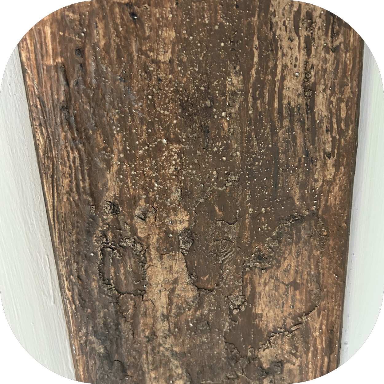 GH_website_Carousel_Wood_pic_22.png