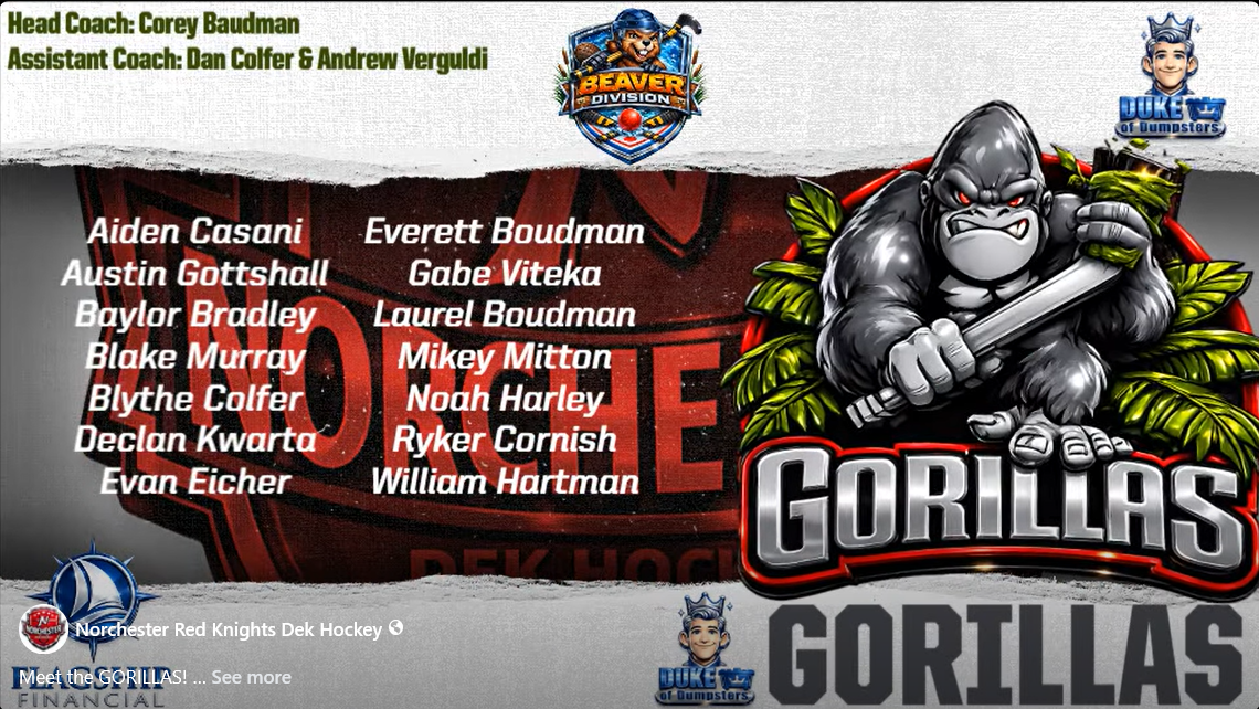 Screenshot 2026-03-12 155541.png