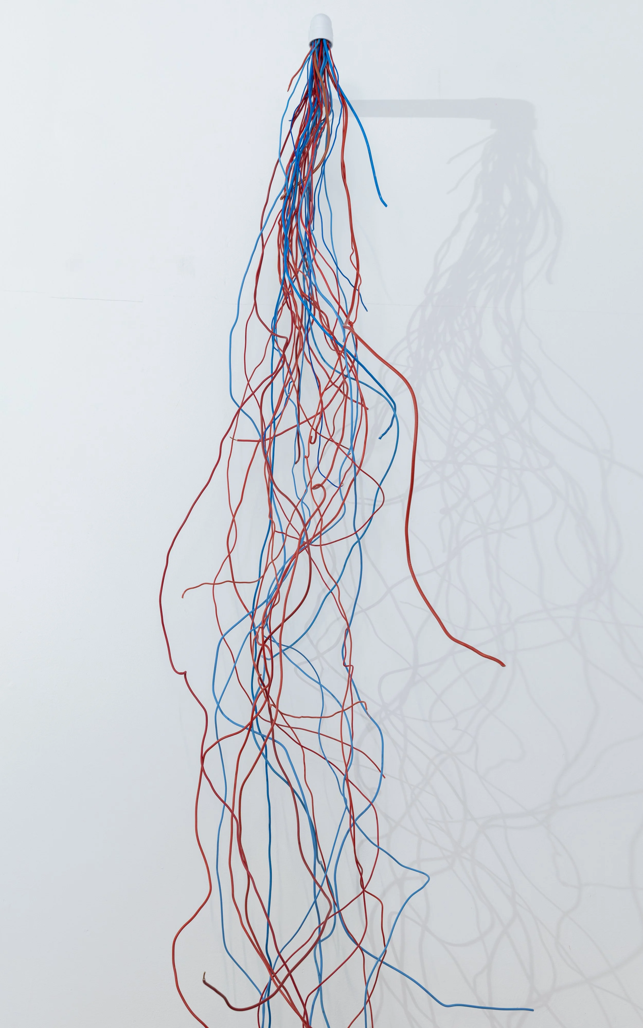 Wired (2026)