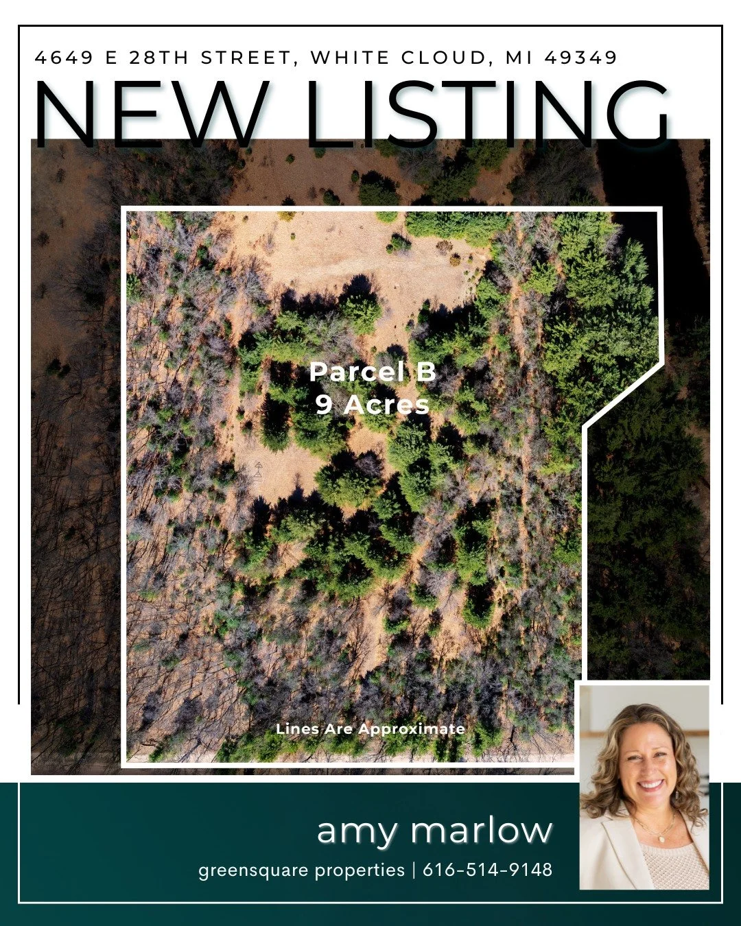 Discover the perfect blend of privacy, nature, and potential at this beautiful property in White Cloud. 

Situated on 9.01 acres, this parcel offers 166 feet of private lake frontage, making it an ideal setting for your future home, cottage, or recre